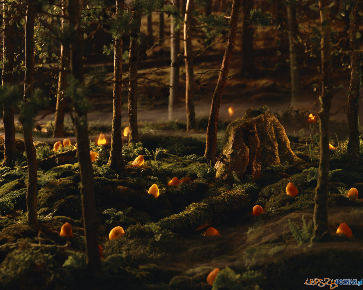 Ewa Bielańczyk - Obst - Las - FOTSPOTKANIE - FOTSPOT Foto: materiały prasowe Ewa Bielańczyk - Obst - Las - FOTSPOTKANIE - FOTSPOT Foto: materiały prasowe