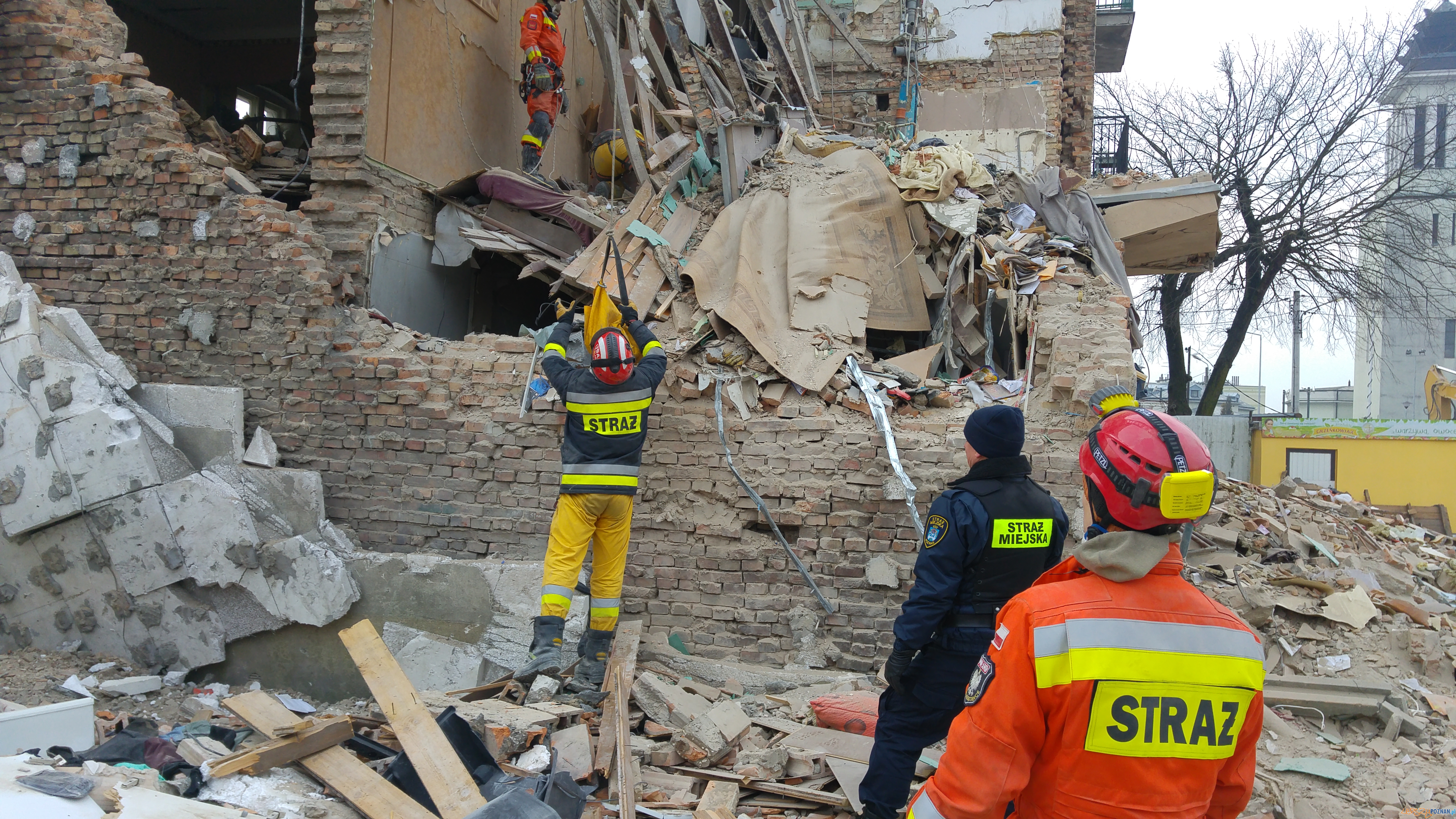 Uratowany z gruzowiska pies Foto: PSP Uratowany z gruzowiska pies Foto: PSP