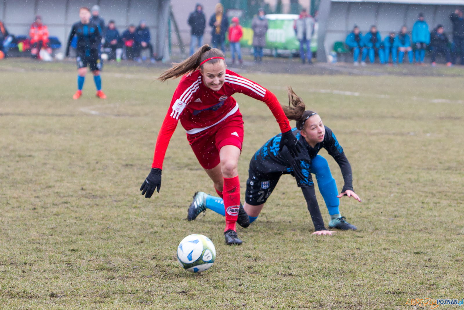 TS Polonia Poznań – KKP Bydgoszcz Foto: lepszyPOZNAN.pl/Piotr Rychter TS Polonia Poznań – KKP Bydgoszcz Foto: lepszyPOZNAN.pl/Piotr Rychter