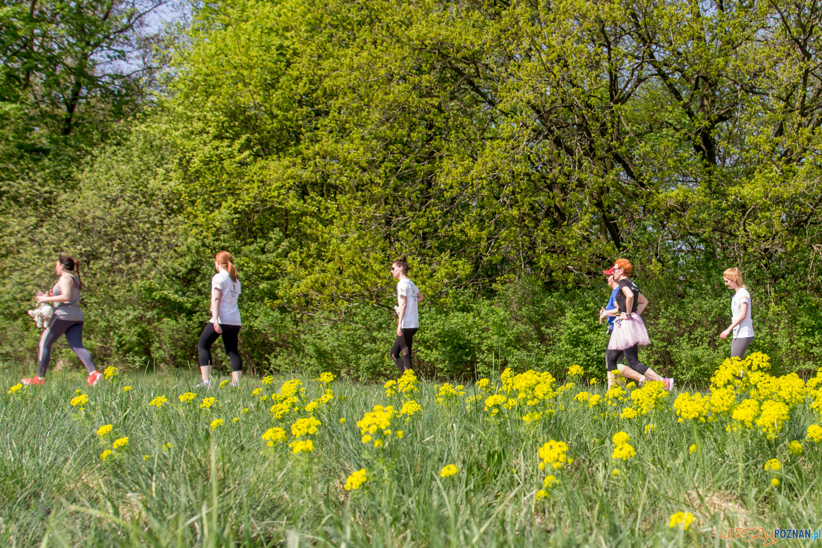 Bieg z Misiem Foto: lepszyPOZNAN.pl / Ewelina Jaśkowiak Bieg z Misiem Foto: lepszyPOZNAN.pl / Ewelina Jaśkowiak