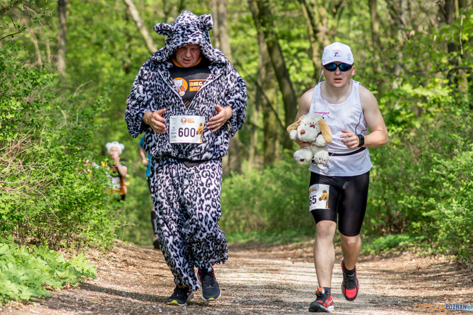 Bieg z Misiem Foto: lepszyPOZNAN.pl / Ewelina Jaśkowiak Bieg z Misiem Foto: lepszyPOZNAN.pl / Ewelina Jaśkowiak