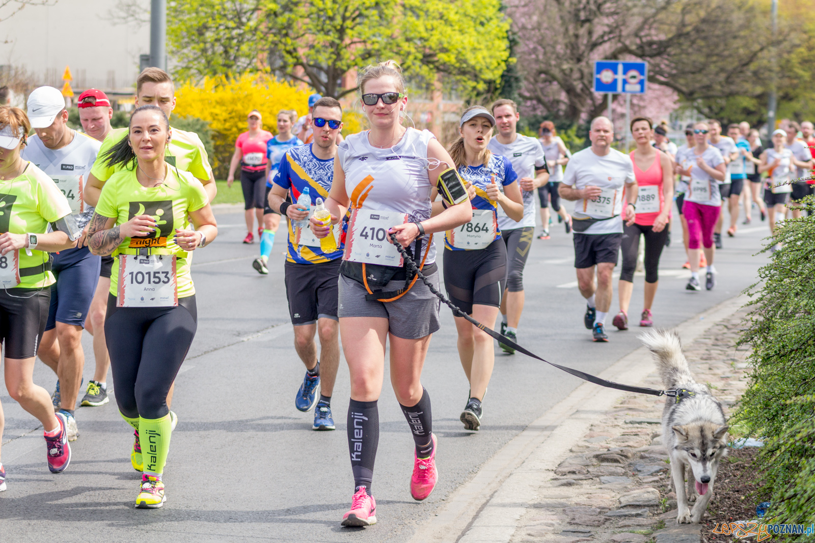 11. PKO Poznań Półmaraton Foto: lepszyPOZNAN.pl / Ewelina Jaśkowiak 11. PKO Poznań Półmaraton Foto: lepszyPOZNAN.pl / Ewelina Jaśkowiak