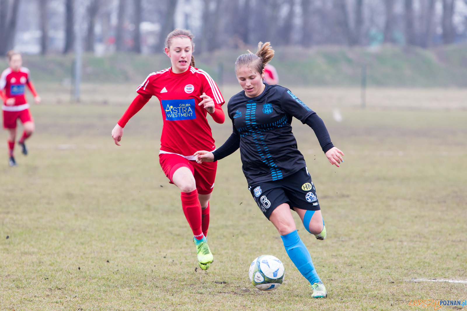 TS Polonia Poznań – KKP Bydgoszcz Foto: lepszyPOZNAN.pl/Piotr Rychter TS Polonia Poznań – KKP Bydgoszcz Foto: lepszyPOZNAN.pl/Piotr Rychter