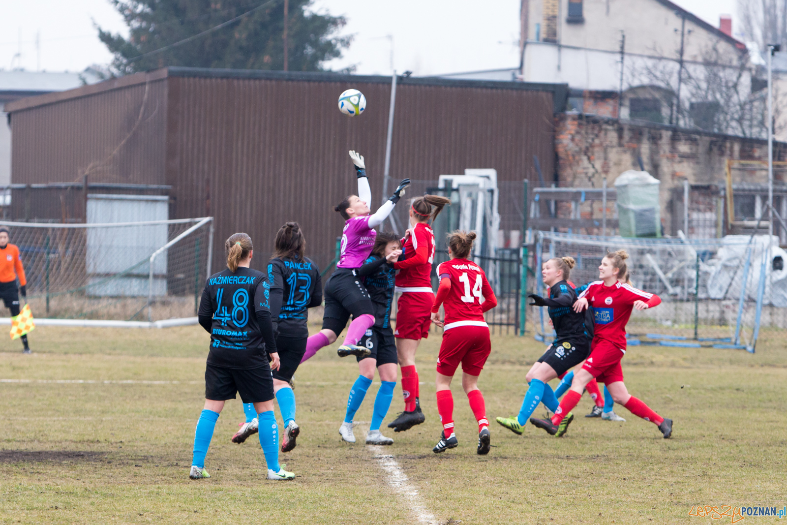 TS Polonia Poznań – KKP Bydgoszcz Foto: lepszyPOZNAN.pl/Piotr Rychter TS Polonia Poznań – KKP Bydgoszcz Foto: lepszyPOZNAN.pl/Piotr Rychter