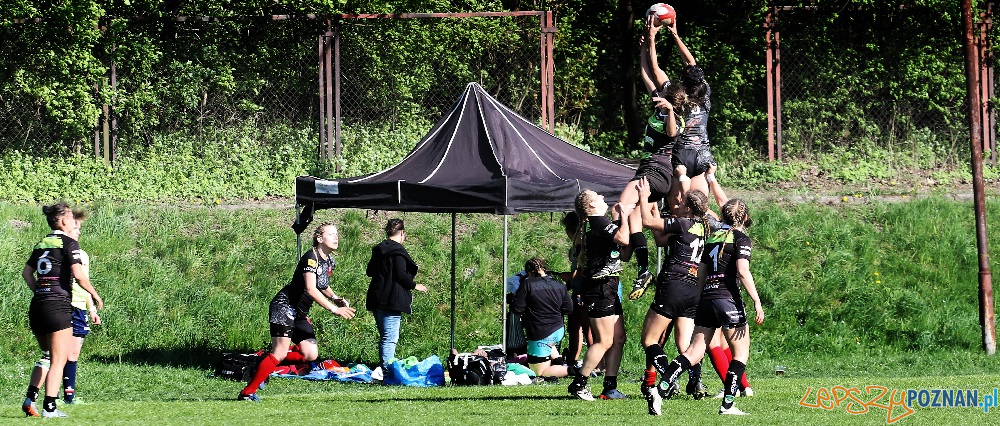 Black Roses Posnania Foto: materiały prasowe Black Roses Posnania Foto: materiały prasowe