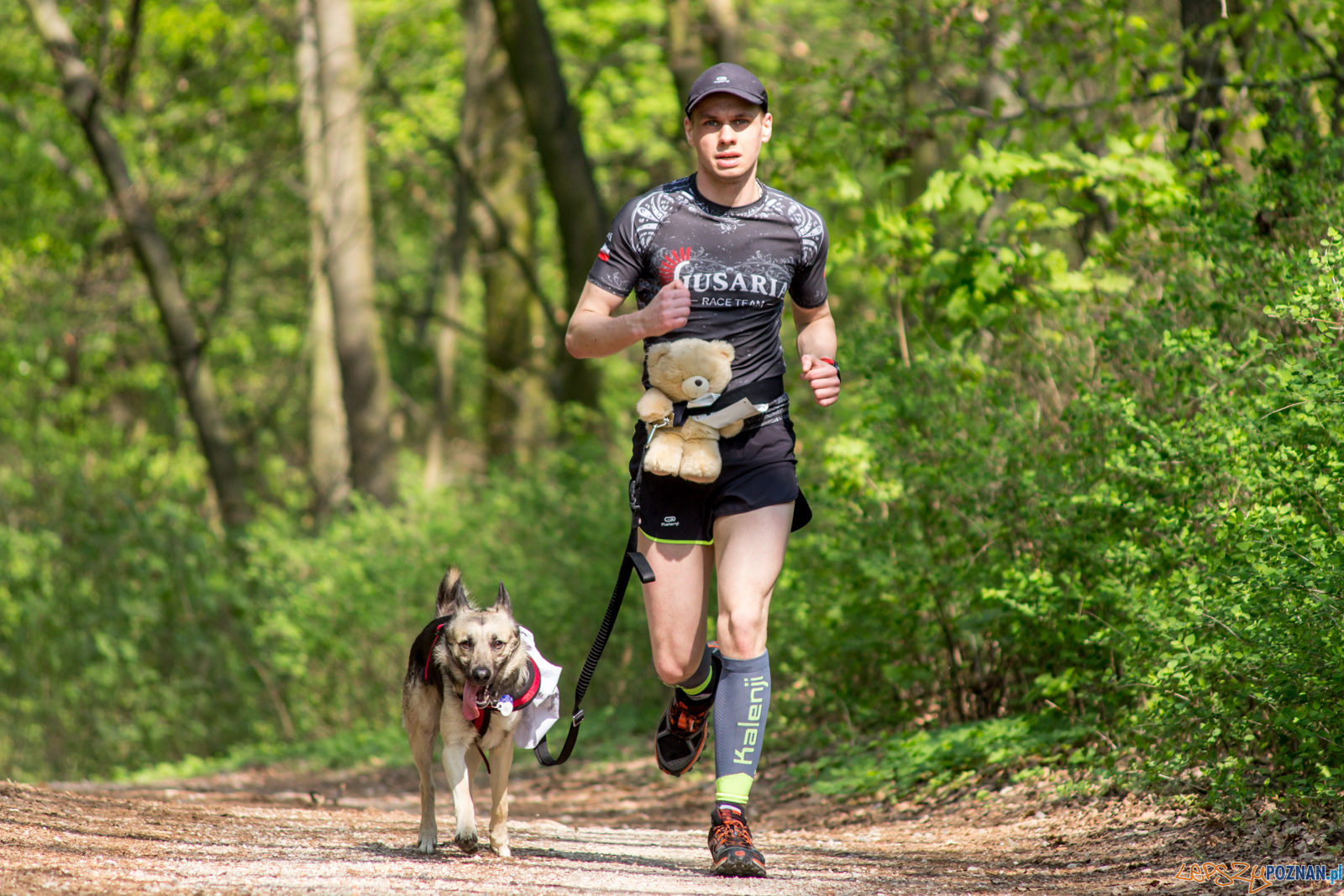 Bieg z Misiem Foto: lepszyPOZNAN.pl / Ewelina Jaśkowiak Bieg z Misiem Foto: lepszyPOZNAN.pl / Ewelina Jaśkowiak