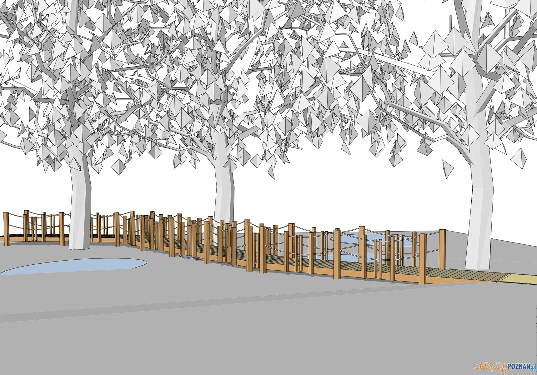 Spacer w koronach drzew Foto: UMP Spacer w koronach drzew Foto: UMP