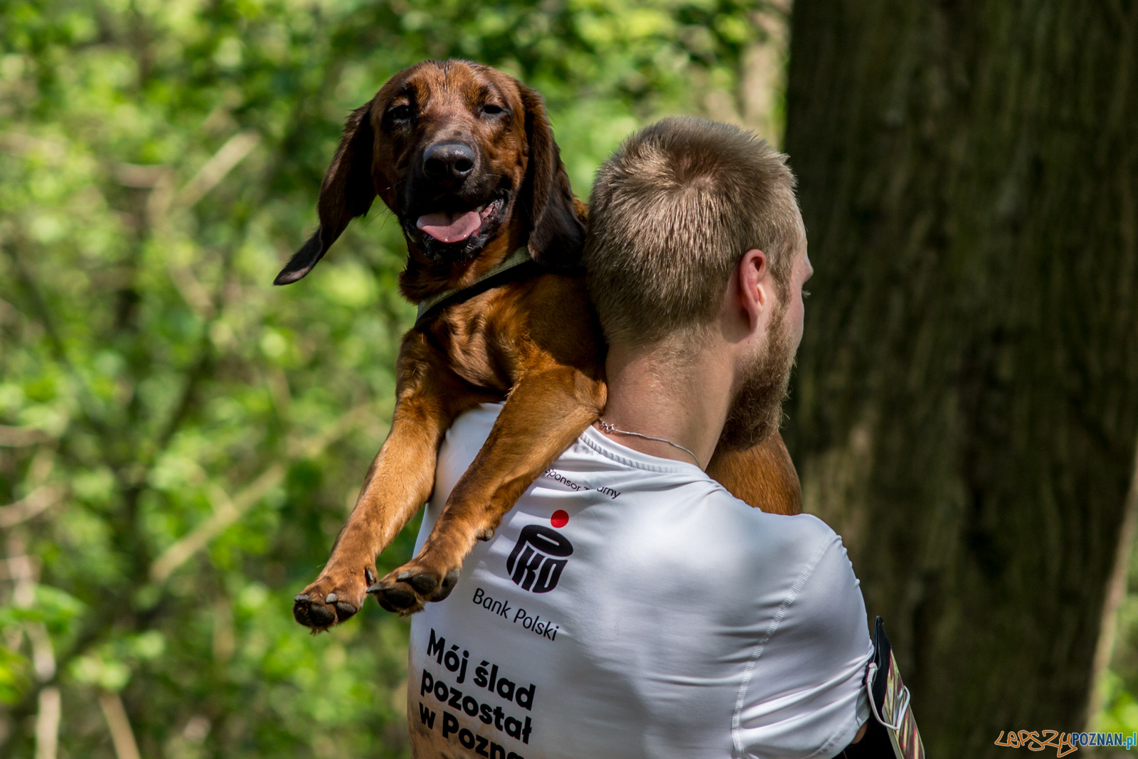 Bieg z Misiem Foto: lepszyPOZNAN.pl / Ewelina Jaśkowiak Bieg z Misiem Foto: lepszyPOZNAN.pl / Ewelina Jaśkowiak