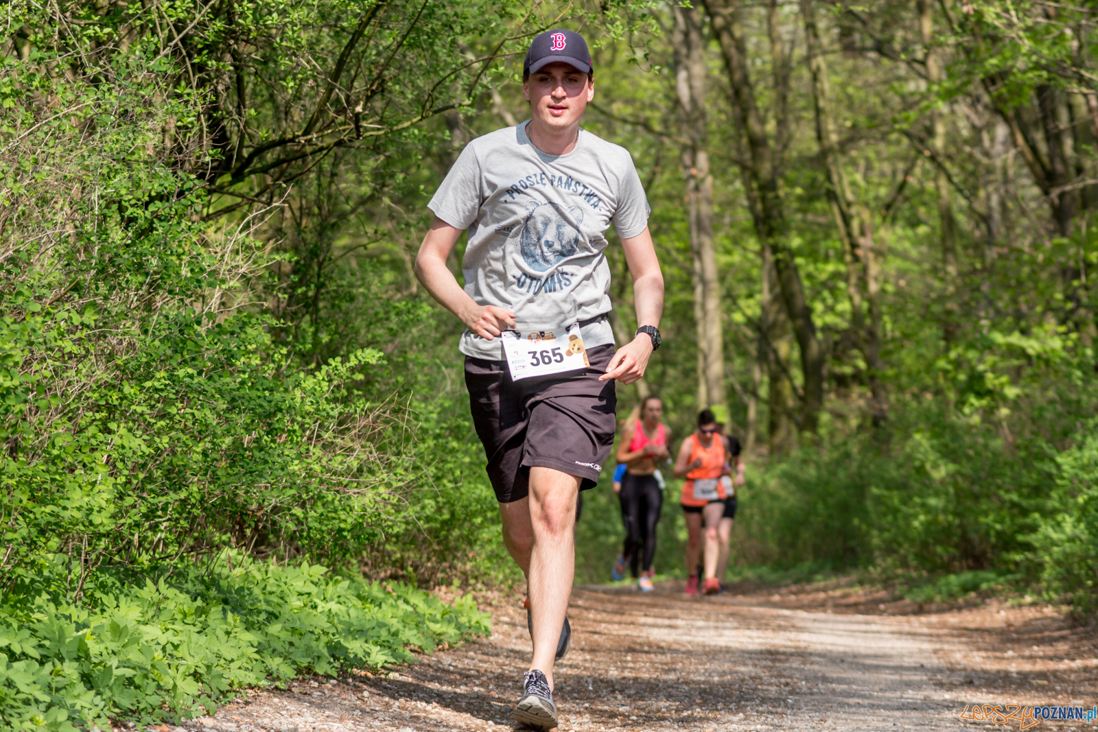 Bieg z Misiem Foto: lepszyPOZNAN.pl / Ewelina Jaśkowiak Bieg z Misiem Foto: lepszyPOZNAN.pl / Ewelina Jaśkowiak