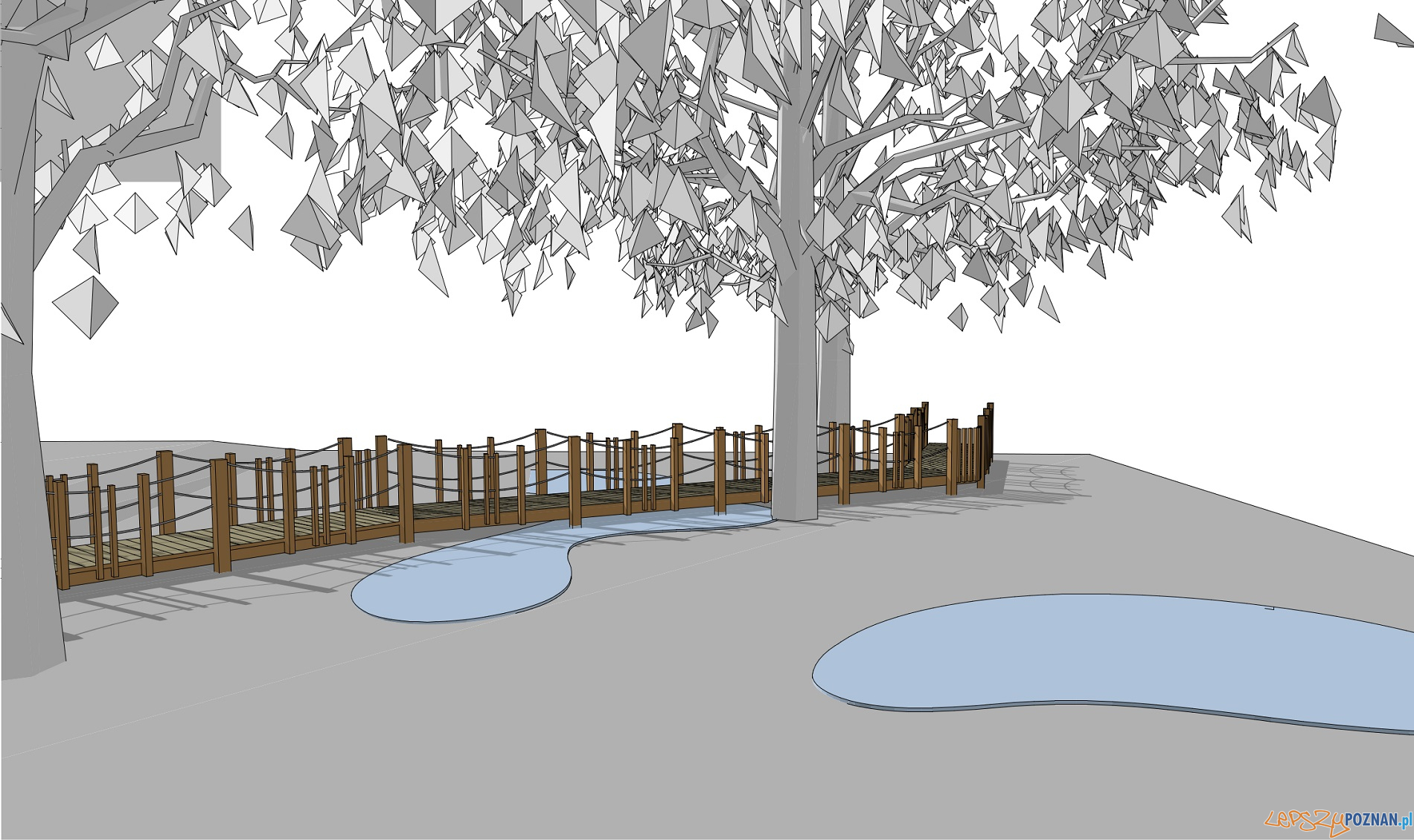 Spacer w koronach drzew Foto: UMP Spacer w koronach drzew Foto: UMP