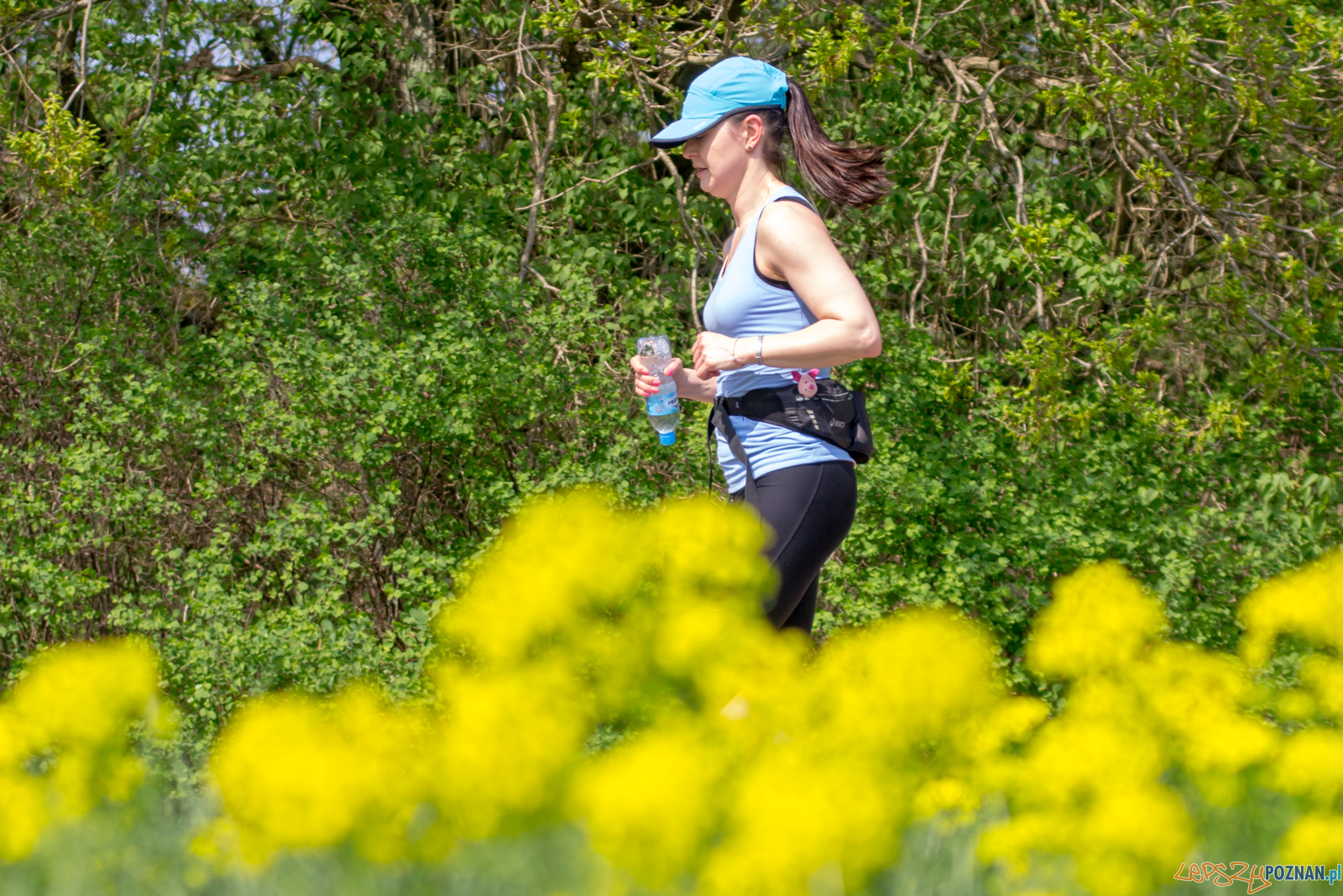 Bieg z Misiem Foto: lepszyPOZNAN.pl / Ewelina Jaśkowiak Bieg z Misiem Foto: lepszyPOZNAN.pl / Ewelina Jaśkowiak