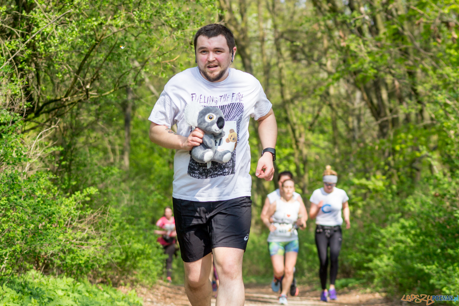 Bieg z Misiem Foto: lepszyPOZNAN.pl / Ewelina Jaśkowiak Bieg z Misiem Foto: lepszyPOZNAN.pl / Ewelina Jaśkowiak
