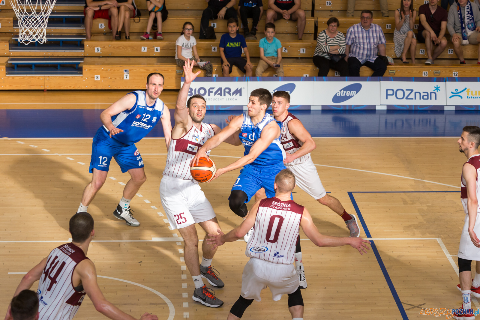 Biofarm Basket Poznań - Spójnia Stargard Foto: lepszyPOZNAN.pl/Piotr Rychter Biofarm Basket Poznań - Spójnia Stargard Foto: lepszyPOZNAN.pl/Piotr Rychter