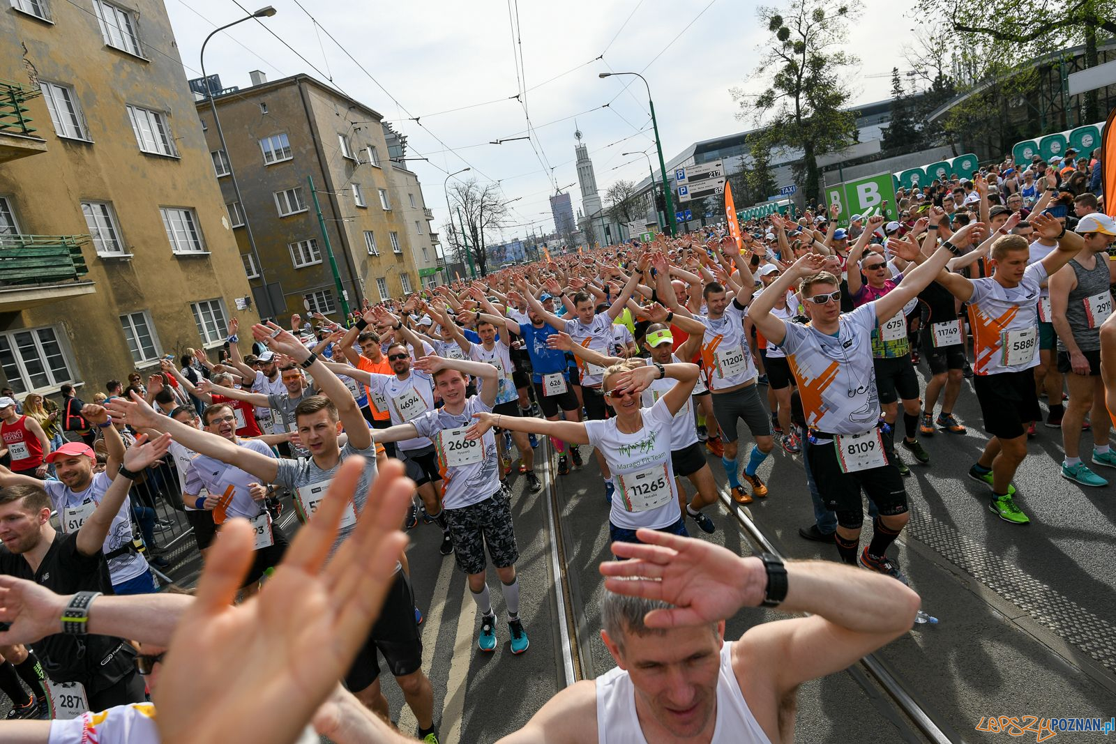 11 Poznań Półmaraton (6) Foto: Jakub Kaczmarczyk / POSIR - materiały prasowe 11 Poznań Półmaraton (6) Foto: Jakub Kaczmarczyk / POSIR - materiały prasowe