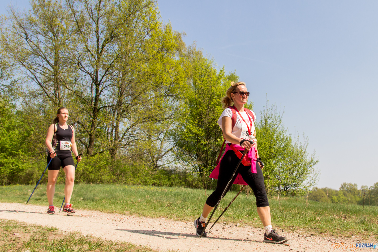 Bieg z Misiem Foto: lepszyPOZNAN.pl / Ewelina Jaśkowiak Bieg z Misiem Foto: lepszyPOZNAN.pl / Ewelina Jaśkowiak
