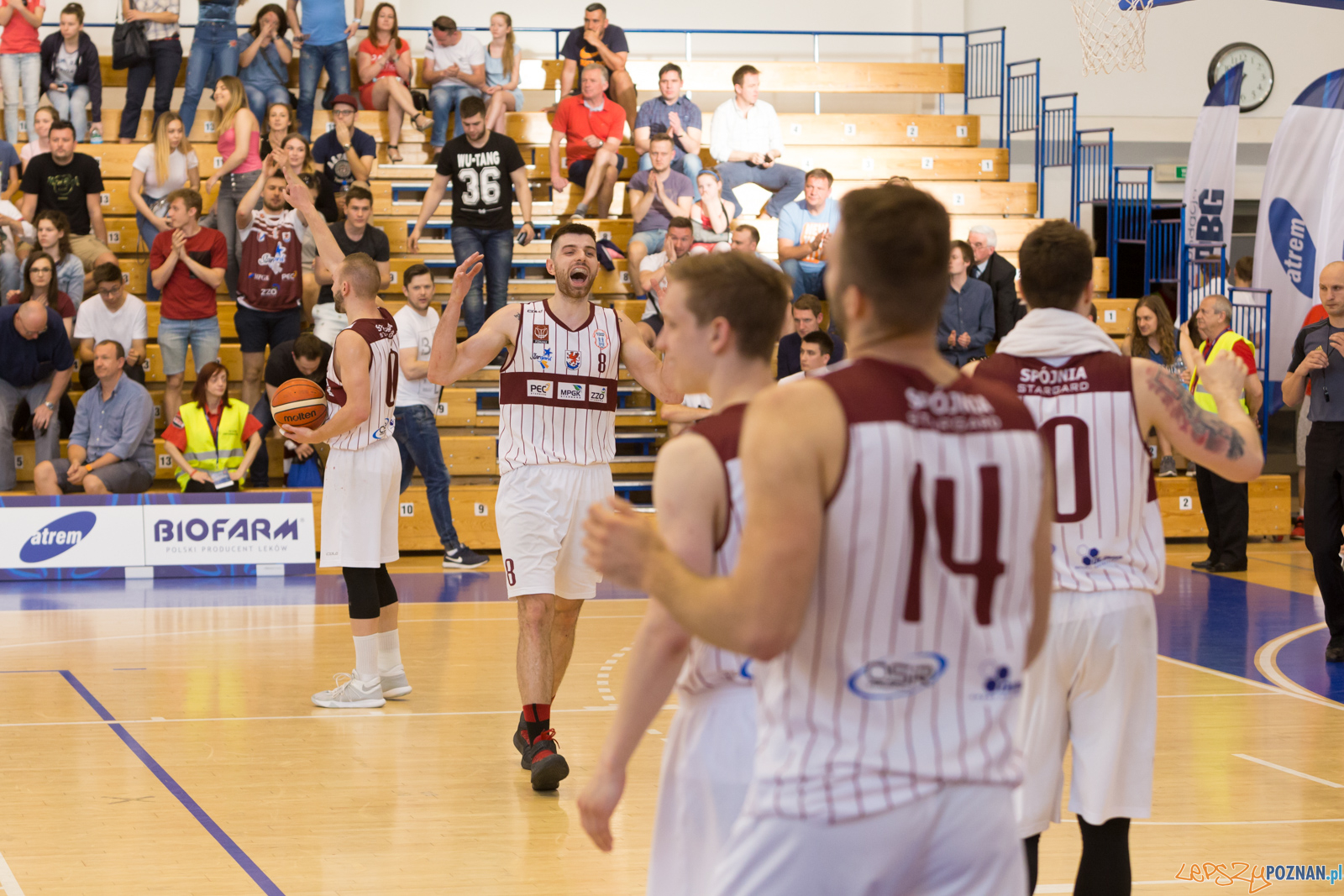 Biofarm Basket Poznań - Spójnia Stargard Foto: lepszyPOZNAN.pl/Piotr Rychter Biofarm Basket Poznań - Spójnia Stargard Foto: lepszyPOZNAN.pl/Piotr Rychter