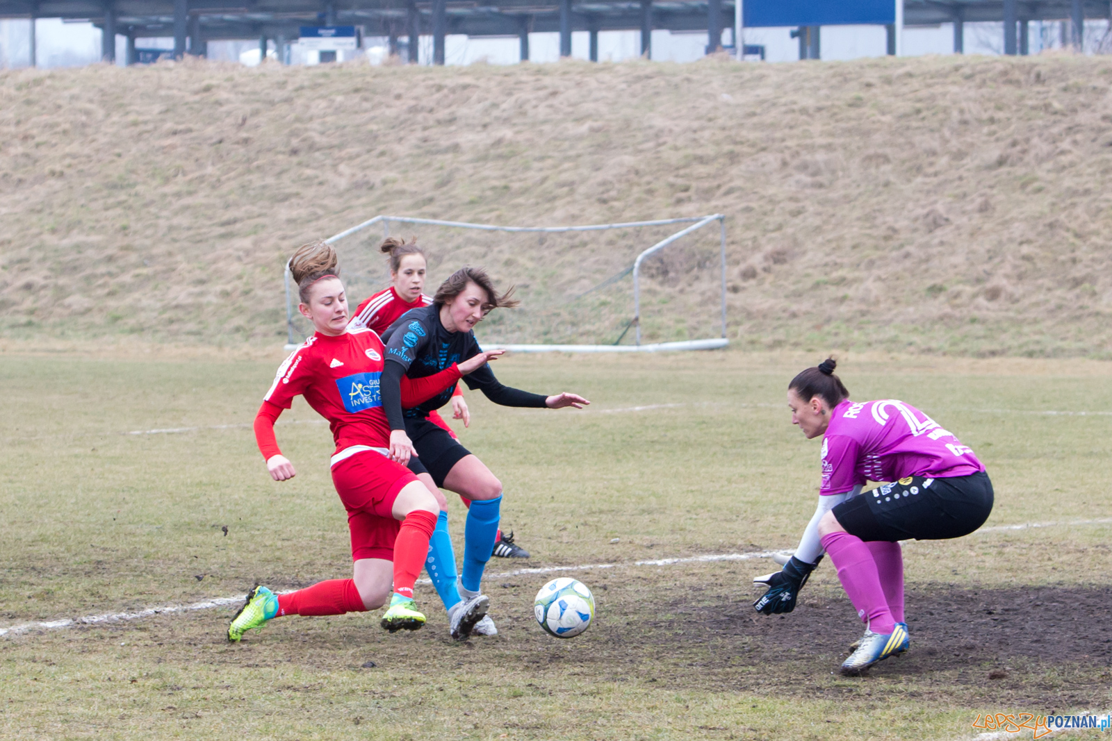 TS Polonia Poznań – KKP Bydgoszcz Foto: lepszyPOZNAN.pl/Piotr Rychter TS Polonia Poznań – KKP Bydgoszcz Foto: lepszyPOZNAN.pl/Piotr Rychter