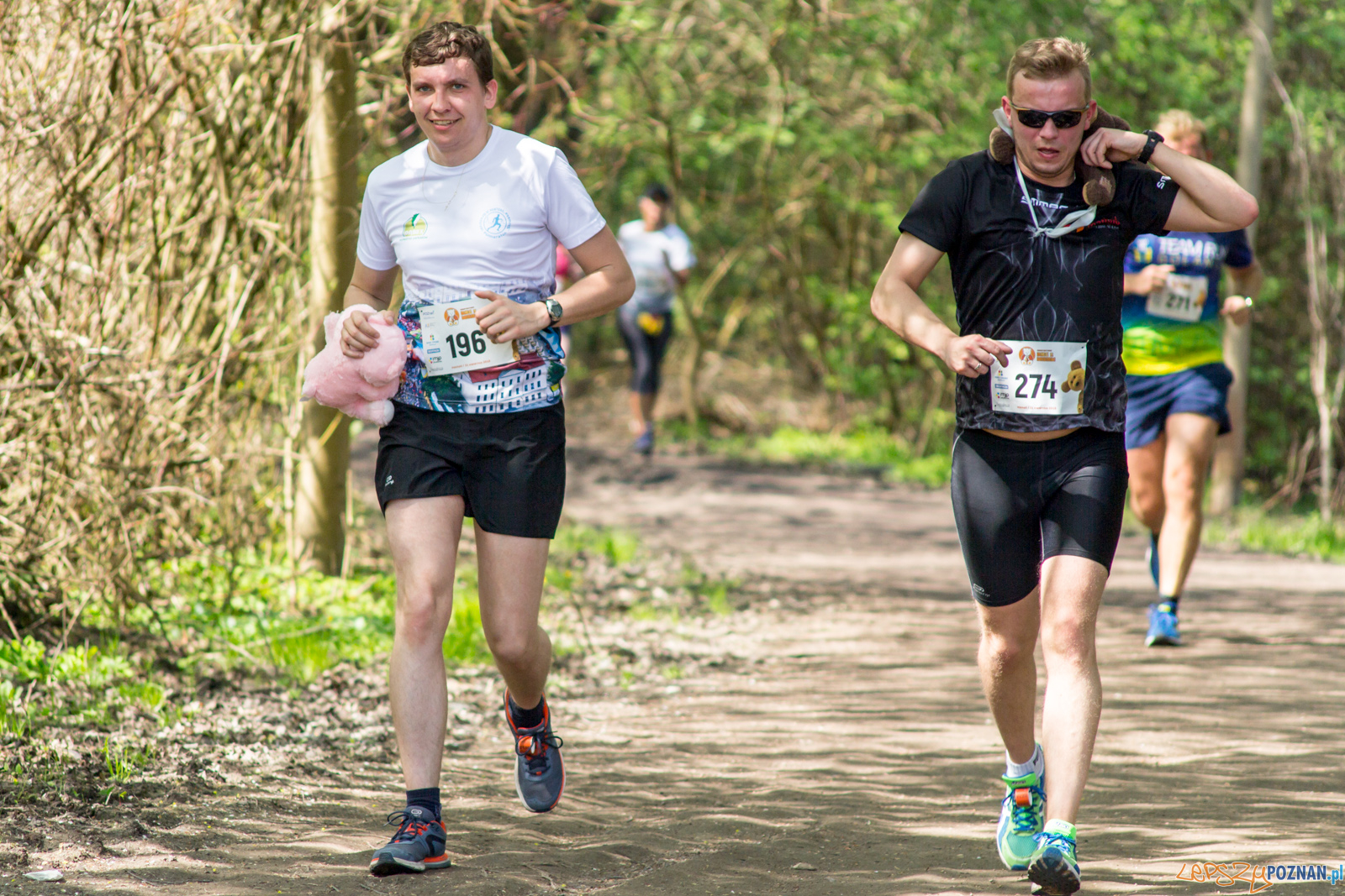 Bieg z Misiem Foto: lepszyPOZNAN.pl / Ewelina Jaśkowiak Bieg z Misiem Foto: lepszyPOZNAN.pl / Ewelina Jaśkowiak