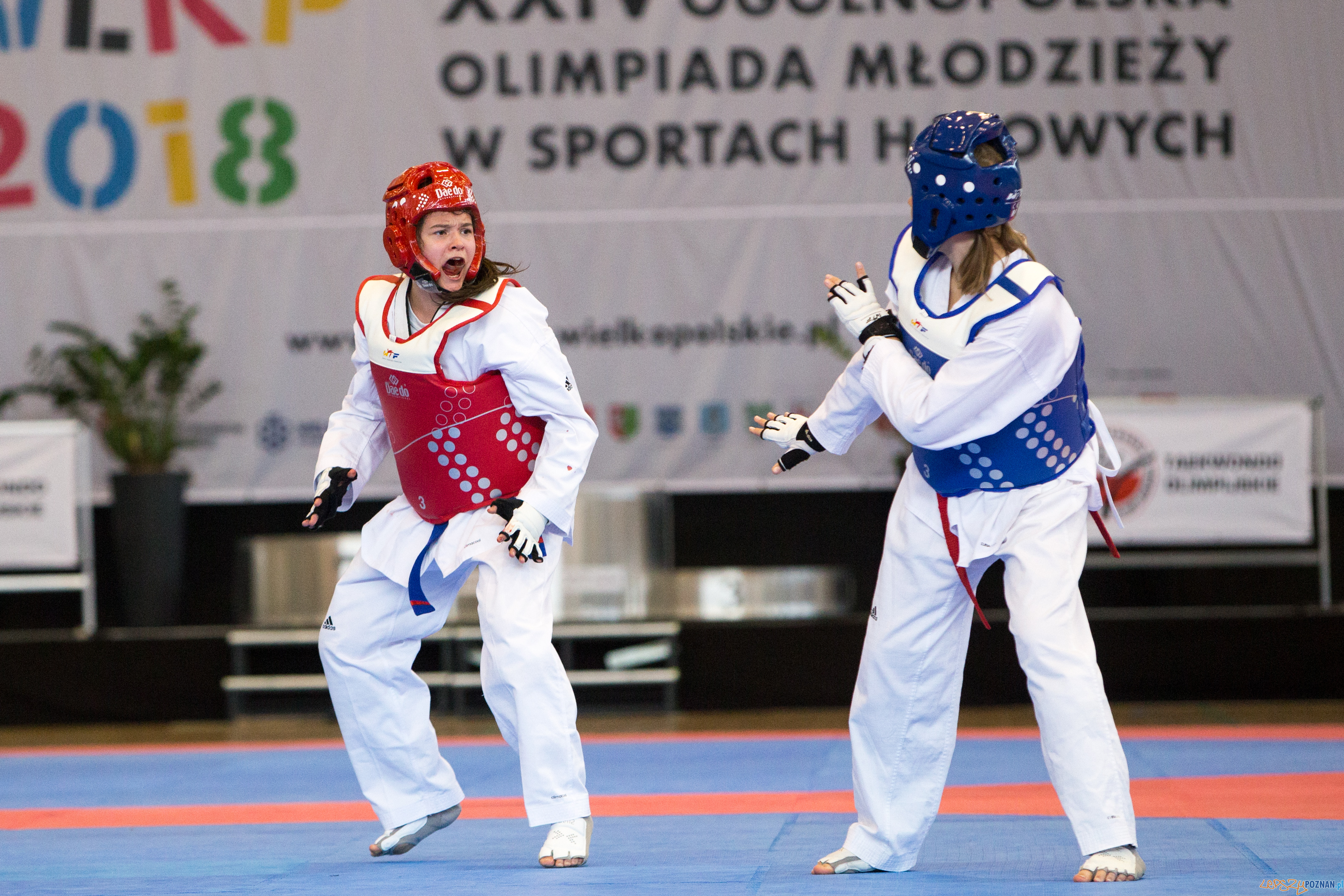 Ogólnopolskie Olimpiady Młodzieży - Taekwondo Foto: lepszyPOZNAN.pl/Piotr Rychter Ogólnopolskie Olimpiady Młodzieży - Taekwondo Foto: lepszyPOZNAN.pl/Piotr Rychter