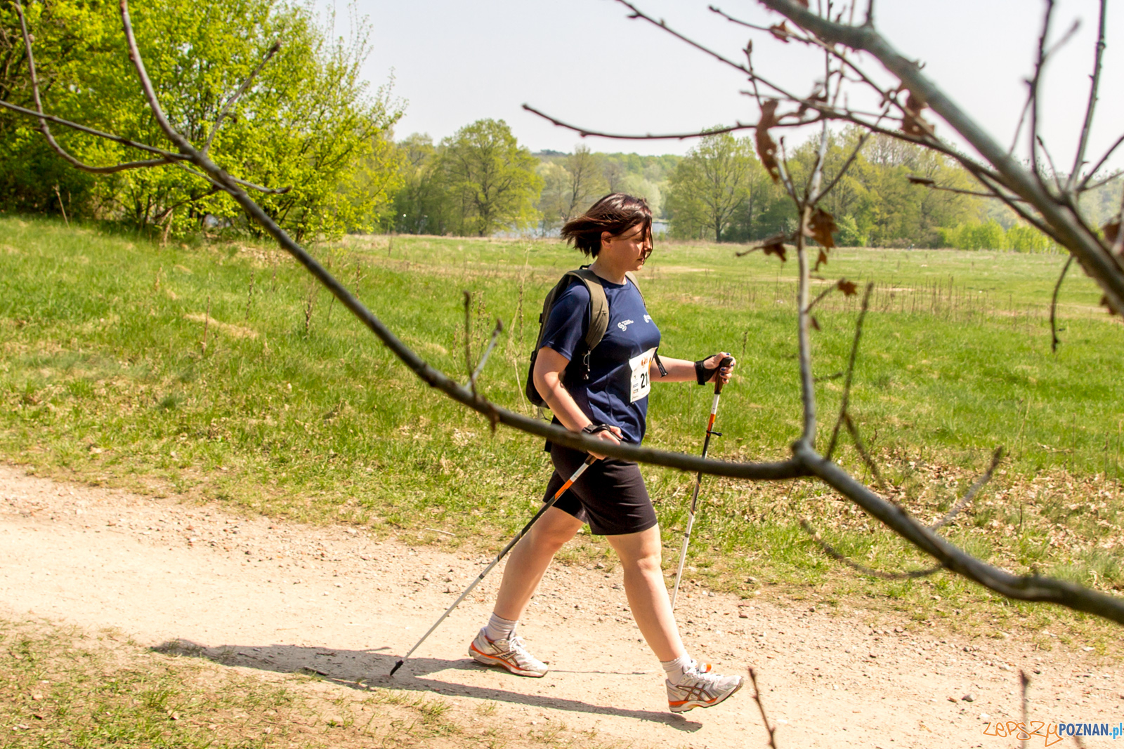 Bieg z Misiem Foto: lepszyPOZNAN.pl / Ewelina Jaśkowiak Bieg z Misiem Foto: lepszyPOZNAN.pl / Ewelina Jaśkowiak