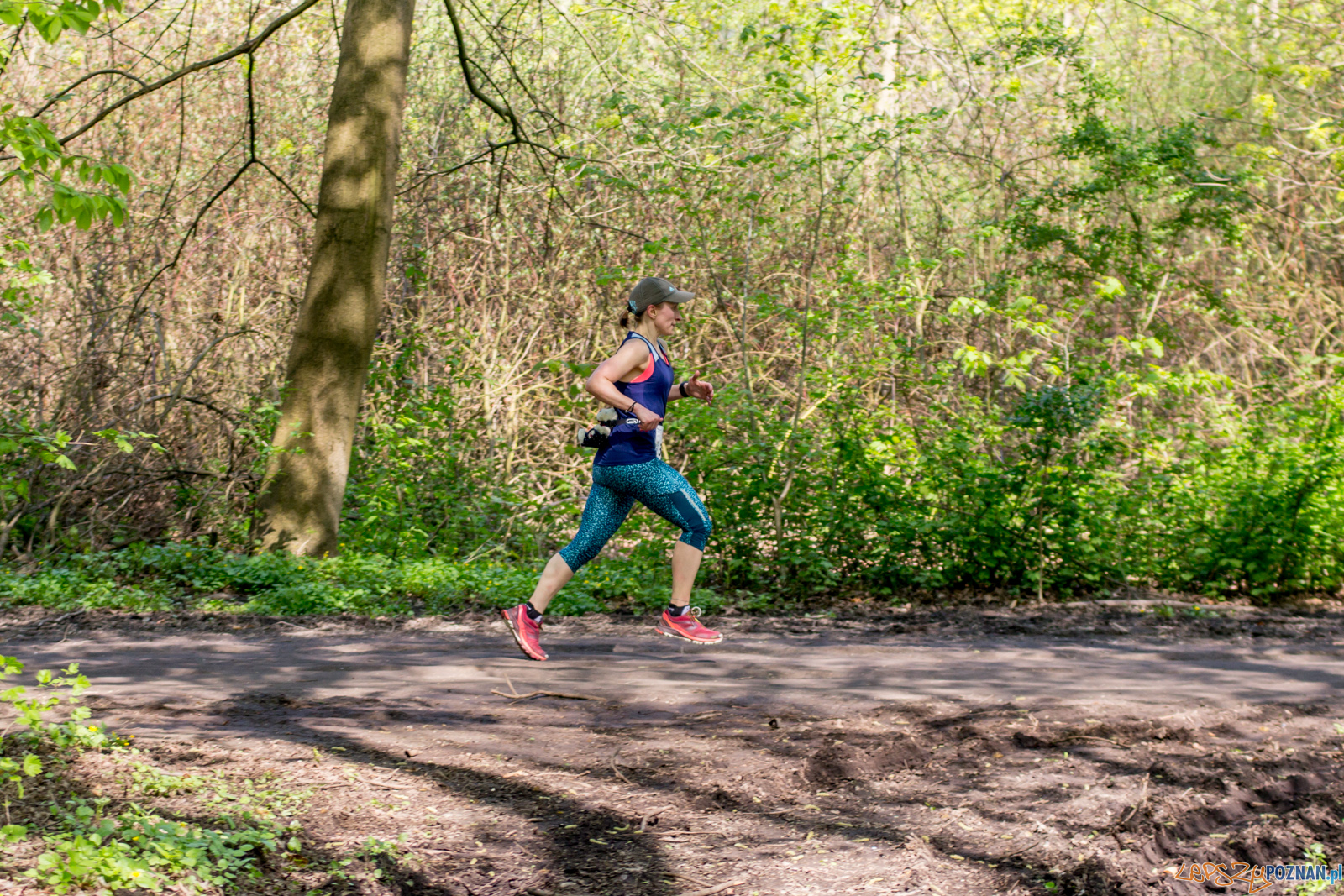 Bieg z Misiem Foto: lepszyPOZNAN.pl / Ewelina Jaśkowiak Bieg z Misiem Foto: lepszyPOZNAN.pl / Ewelina Jaśkowiak
