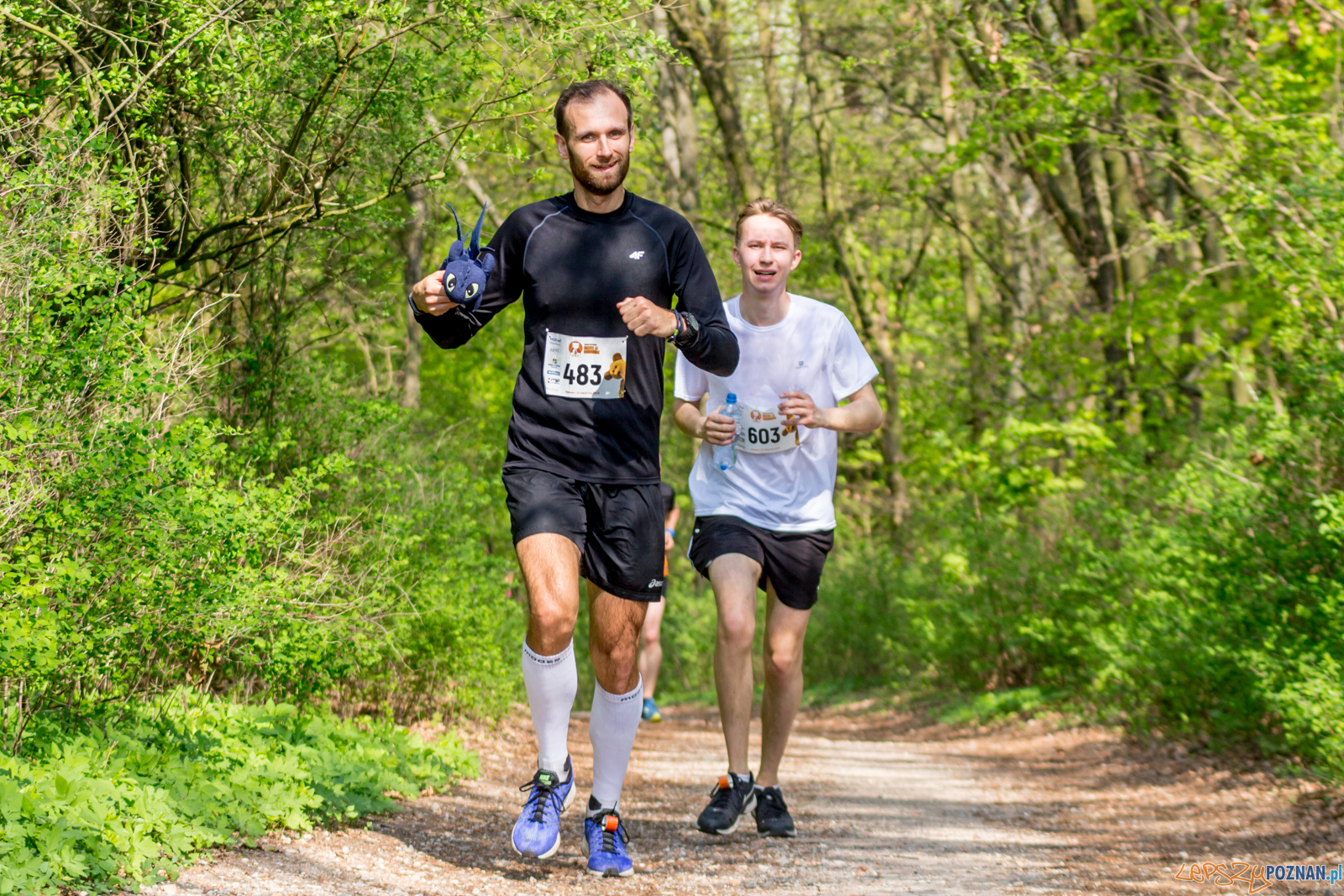 Bieg z Misiem Foto: lepszyPOZNAN.pl / Ewelina Jaśkowiak Bieg z Misiem Foto: lepszyPOZNAN.pl / Ewelina Jaśkowiak