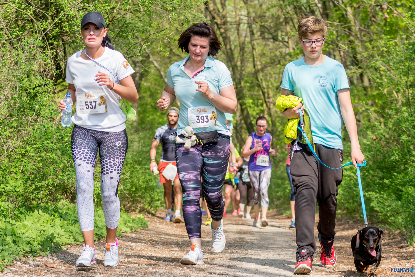 Bieg z Misiem Foto: lepszyPOZNAN.pl / Ewelina Jaśkowiak Bieg z Misiem Foto: lepszyPOZNAN.pl / Ewelina Jaśkowiak