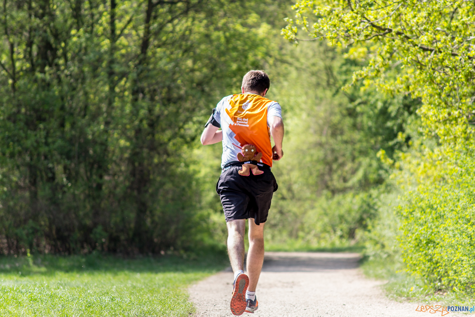 Bieg z Misiem Foto: lepszyPOZNAN.pl / Ewelina Jaśkowiak Bieg z Misiem Foto: lepszyPOZNAN.pl / Ewelina Jaśkowiak