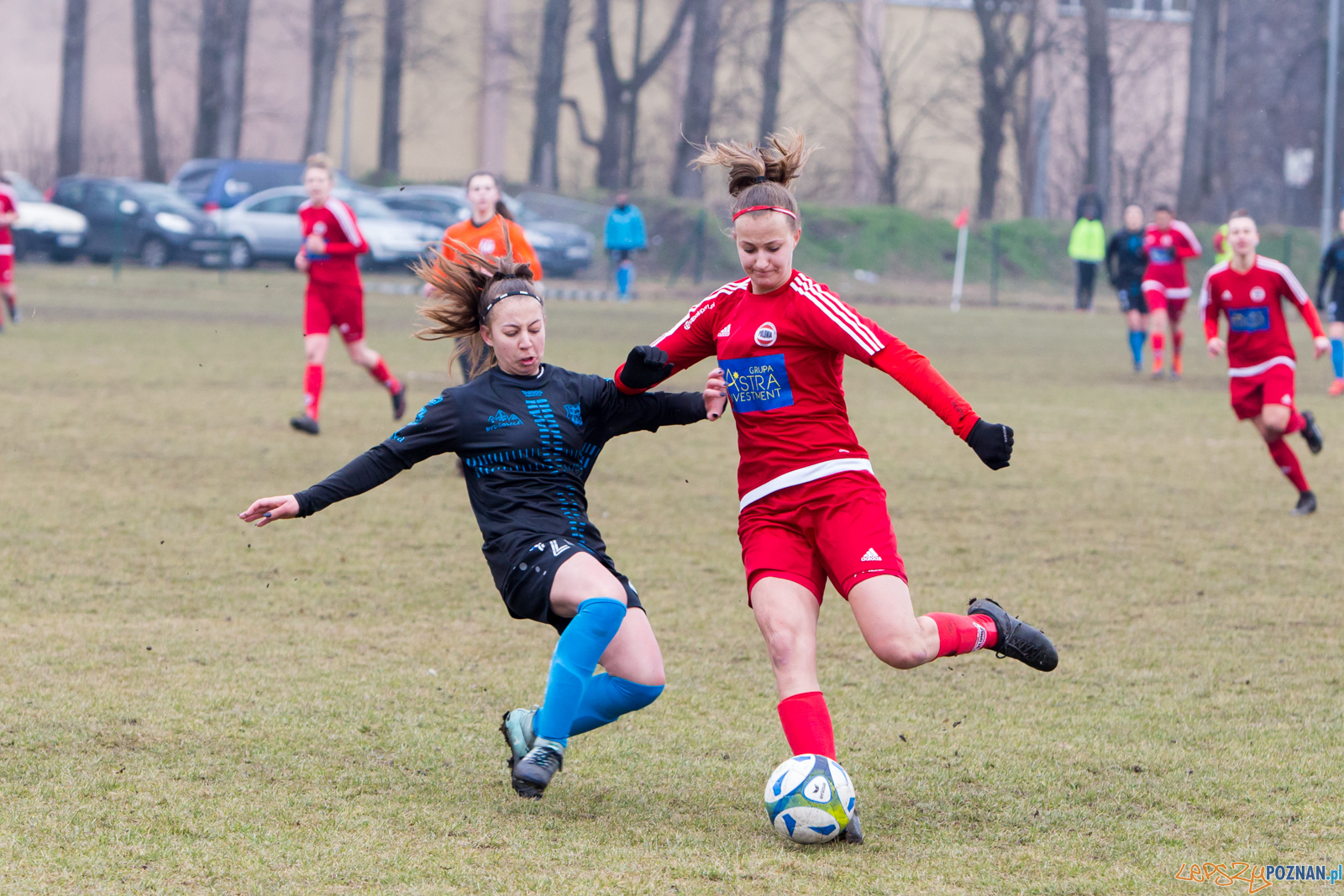 TS Polonia Poznań – KKP Bydgoszcz Foto: lepszyPOZNAN.pl/Piotr Rychter TS Polonia Poznań – KKP Bydgoszcz Foto: lepszyPOZNAN.pl/Piotr Rychter