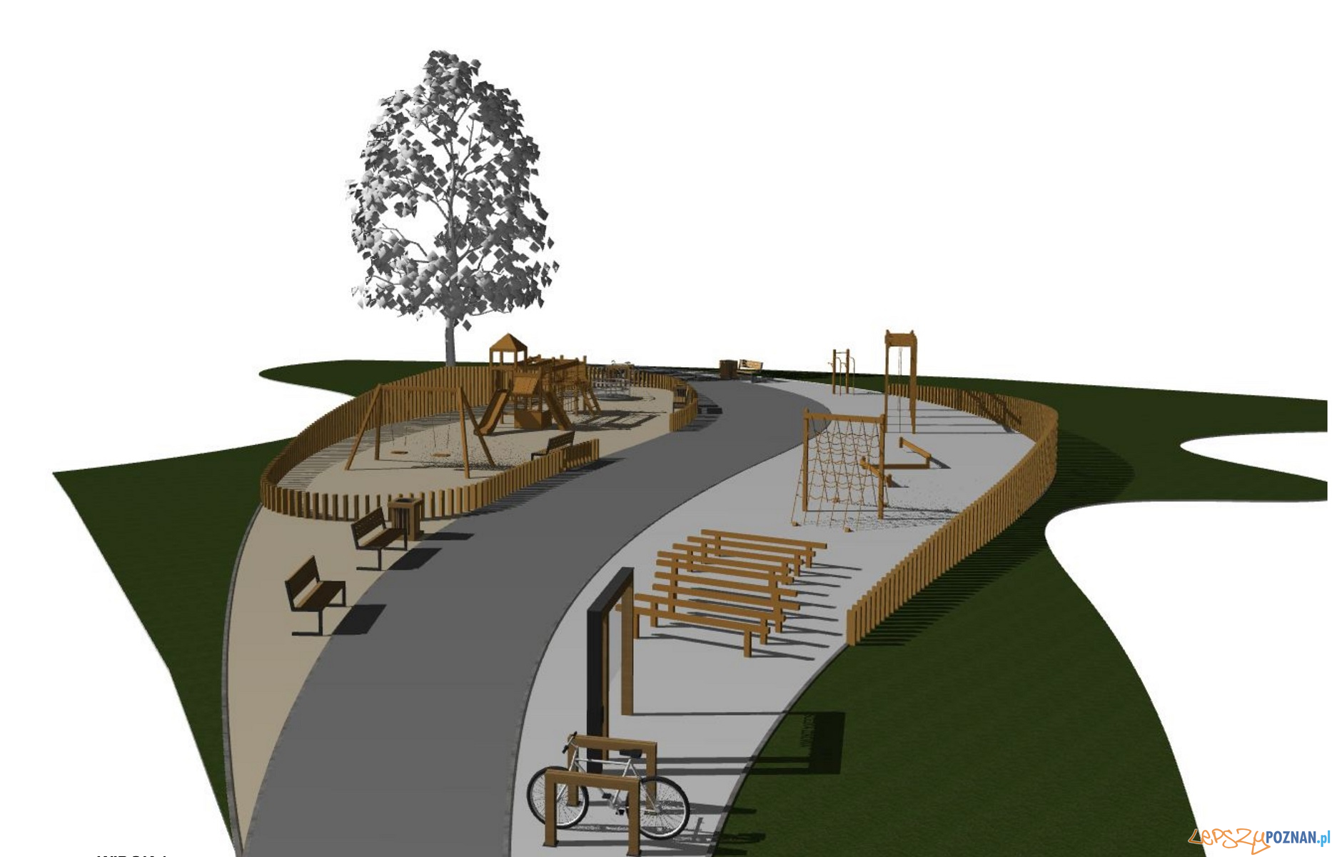 Spacer w koronach drzew Foto: UMP Spacer w koronach drzew Foto: UMP