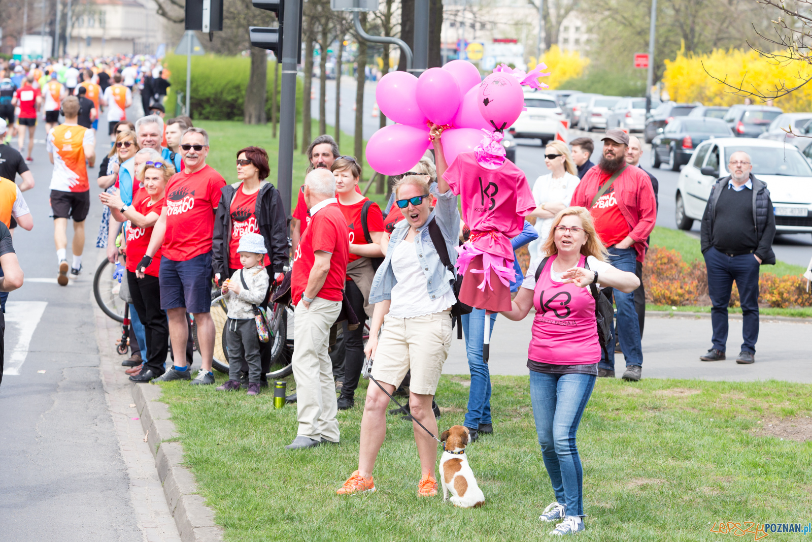 11. Poznań Półmaraton Foto: lepszyPOZNAN.pl/Piotr Rychter 11. Poznań Półmaraton Foto: lepszyPOZNAN.pl/Piotr Rychter