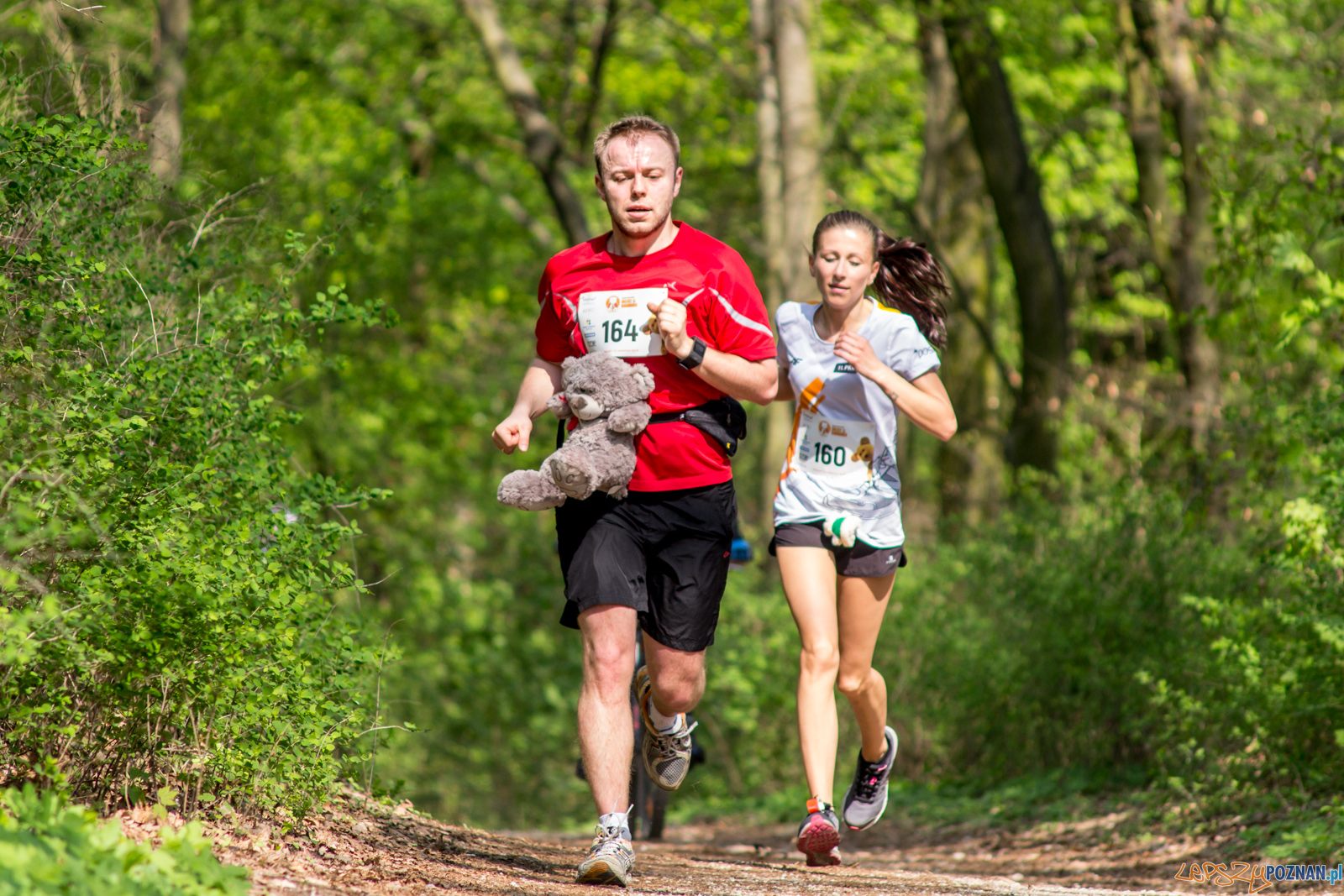 Bieg z Misiem Foto: lepszyPOZNAN.pl / Ewelina Jaśkowiak Bieg z Misiem Foto: lepszyPOZNAN.pl / Ewelina Jaśkowiak