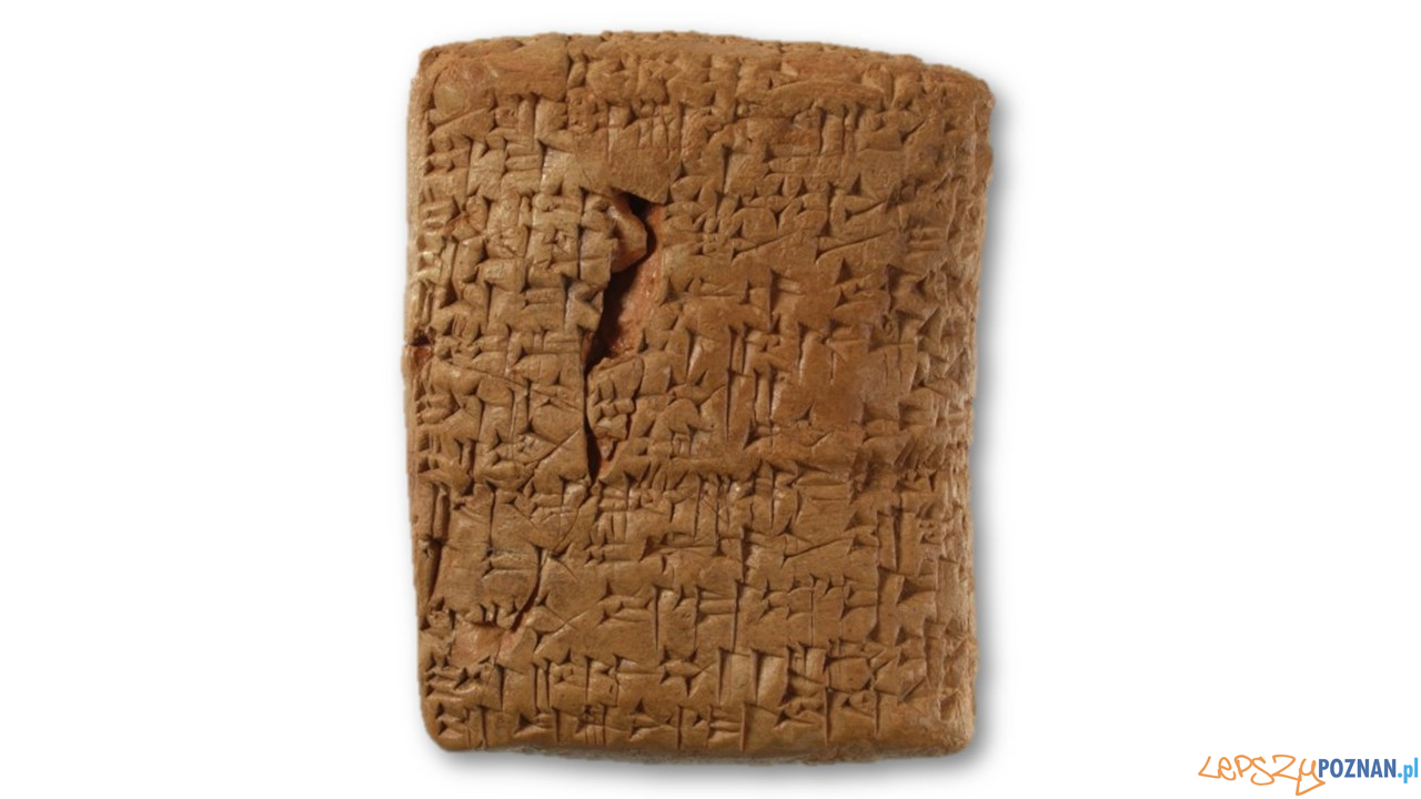 Dokument z zapisem procesu sądowego Foto: P. Silska (MAP) Dokument z zapisem procesu sądowego Foto: P. Silska (MAP)