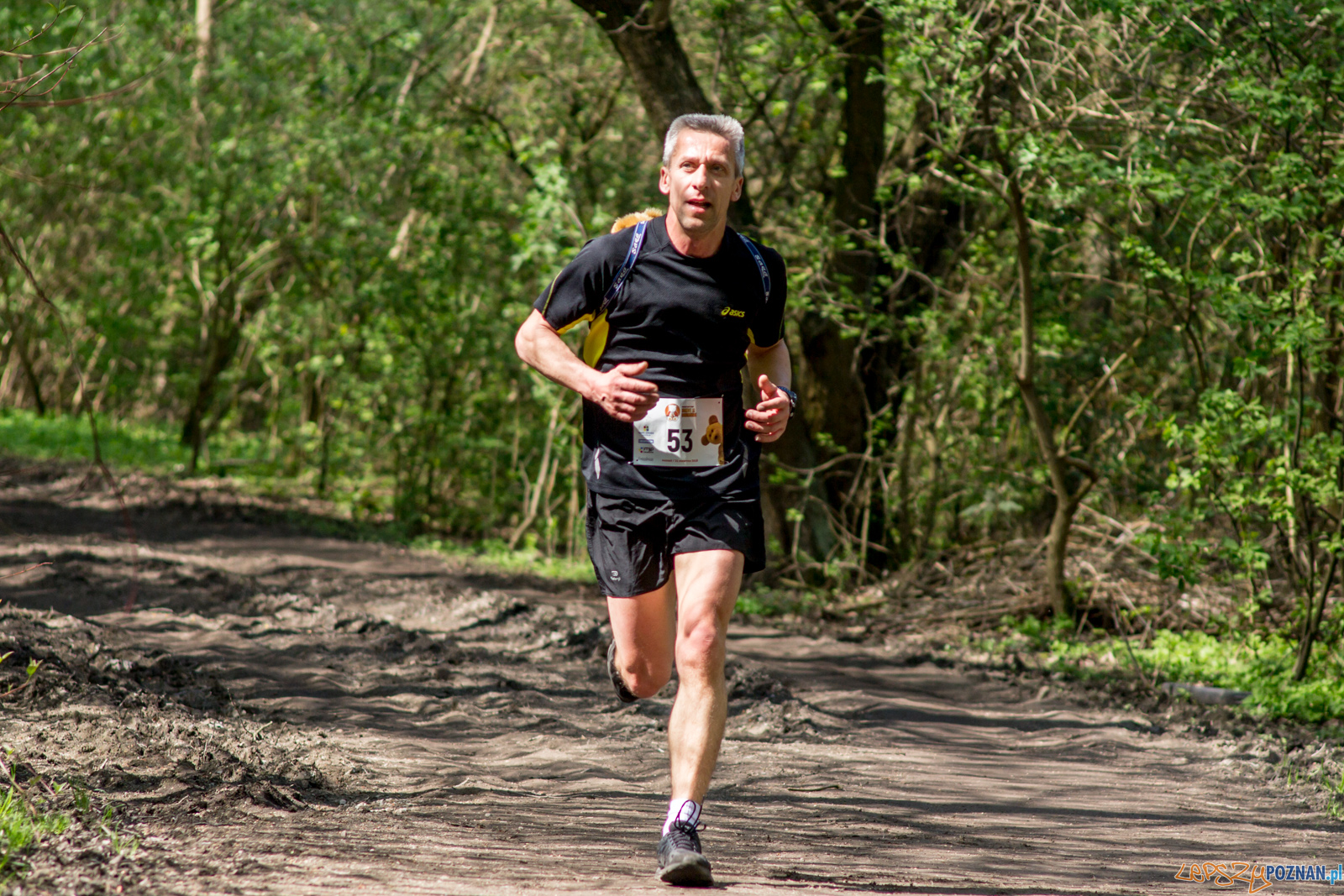 Bieg z Misiem Foto: lepszyPOZNAN.pl / Ewelina Jaśkowiak Bieg z Misiem Foto: lepszyPOZNAN.pl / Ewelina Jaśkowiak