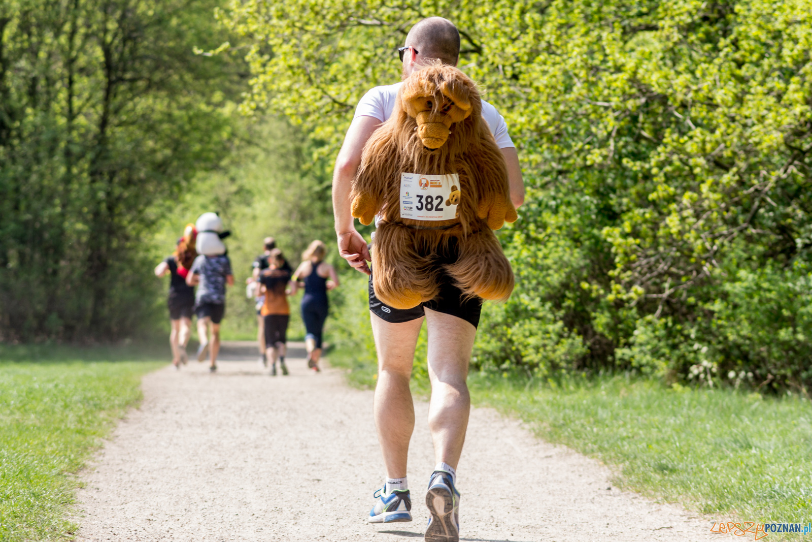 Bieg z Misiem Foto: lepszyPOZNAN.pl / Ewelina Jaśkowiak Bieg z Misiem Foto: lepszyPOZNAN.pl / Ewelina Jaśkowiak
