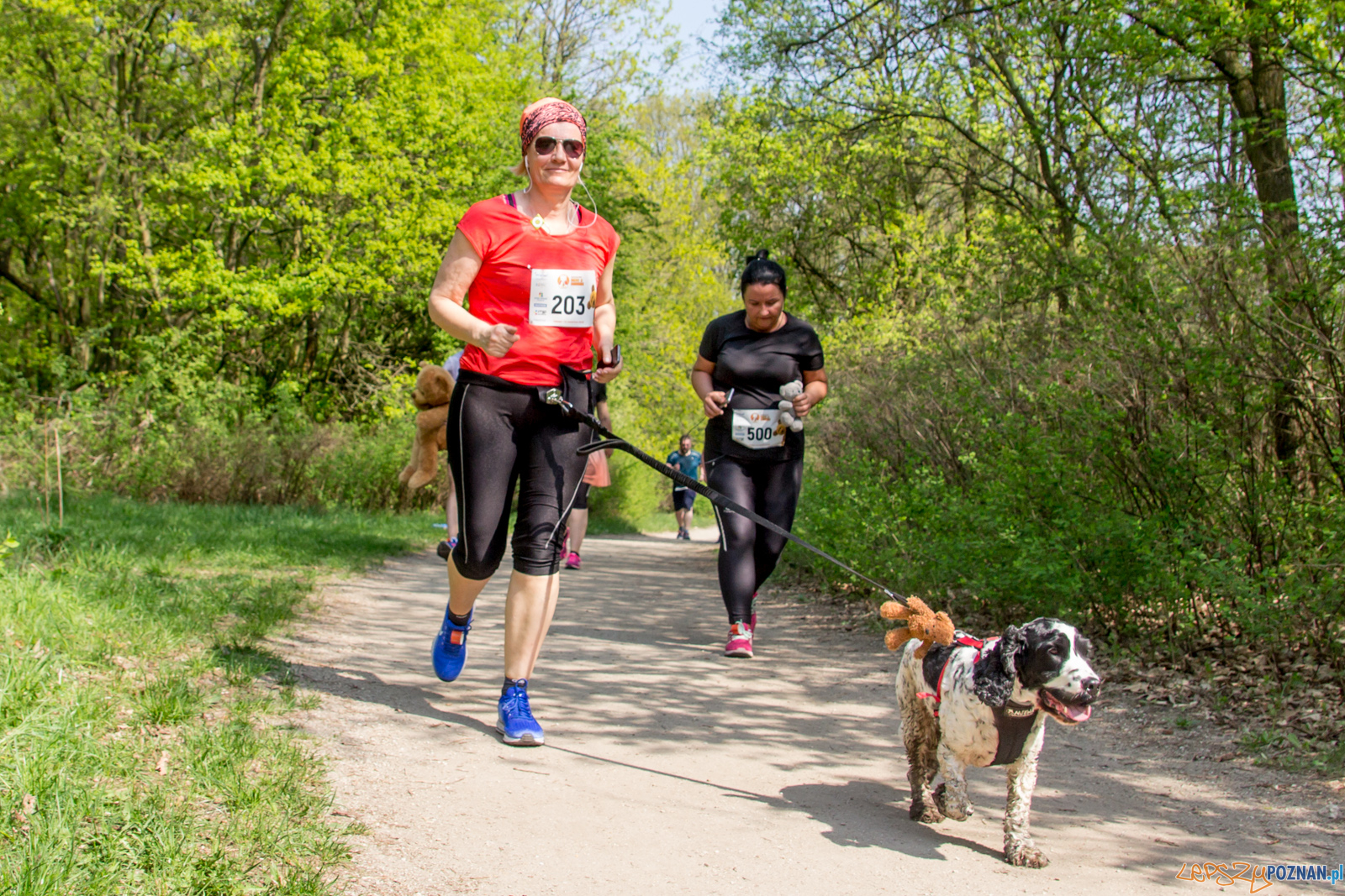 Bieg z Misiem Foto: lepszyPOZNAN.pl / Ewelina Jaśkowiak Bieg z Misiem Foto: lepszyPOZNAN.pl / Ewelina Jaśkowiak
