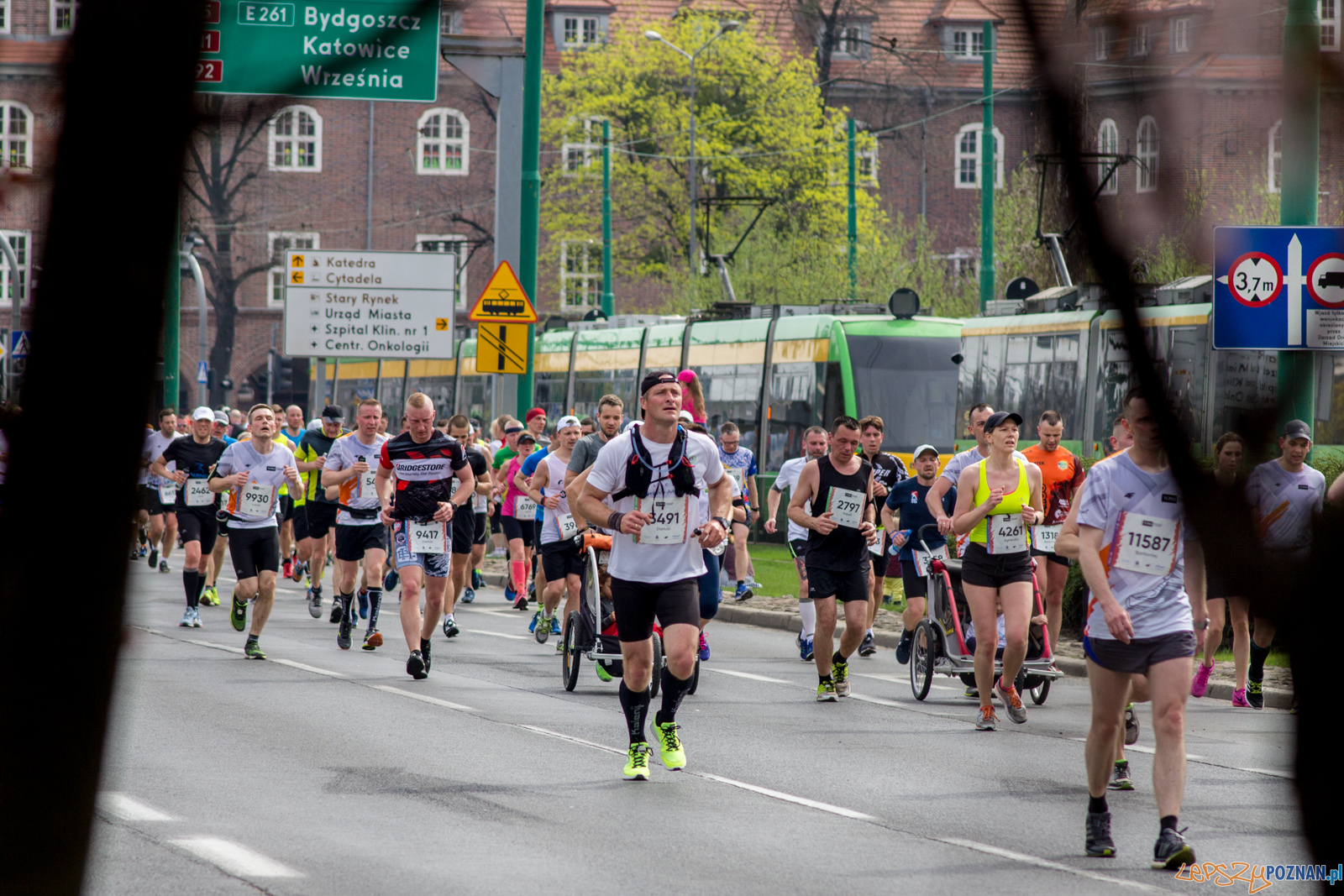 11. PKO Poznań Półmaraton Foto: lepszyPOZNAN.pl / Ewelina Jaśkowiak 11. PKO Poznań Półmaraton Foto: lepszyPOZNAN.pl / Ewelina Jaśkowiak