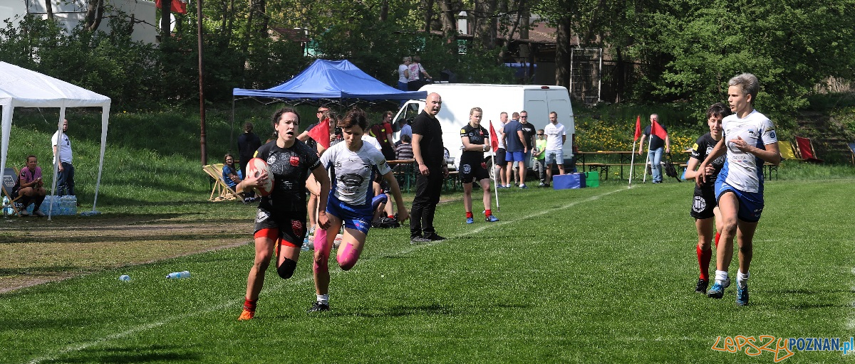 Black Roses Posnania Foto: materiały prasowe Black Roses Posnania Foto: materiały prasowe