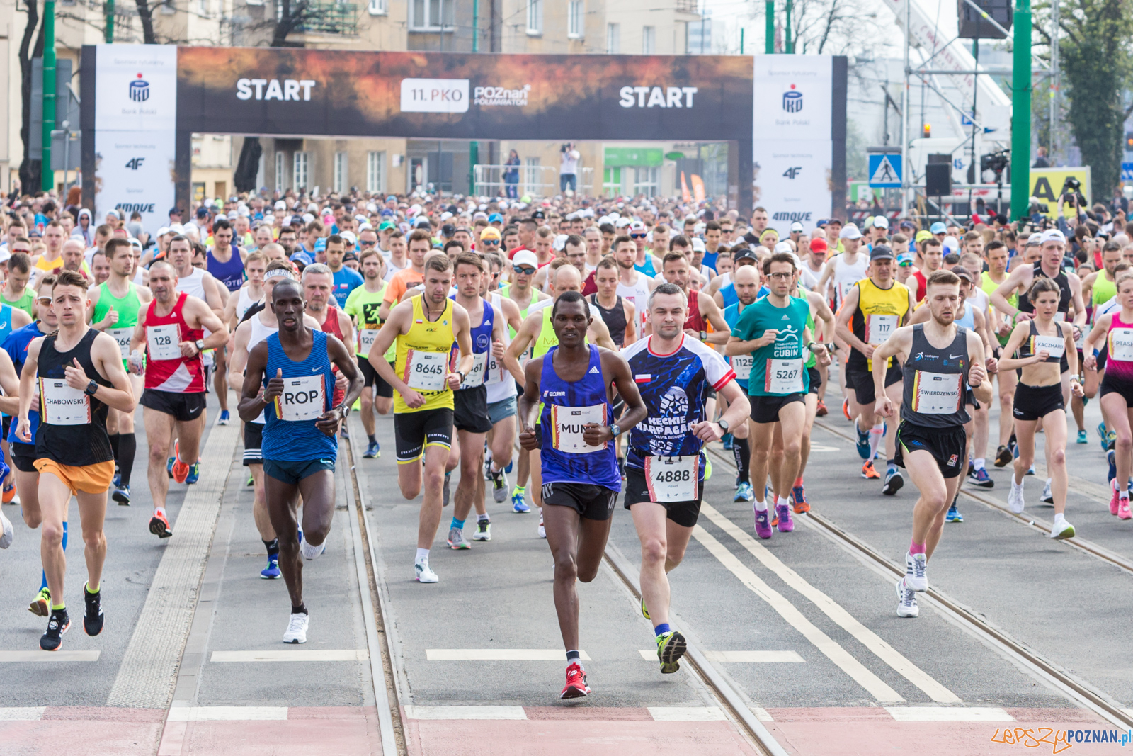 11. Poznań Półmaraton Foto: lepszyPOZNAN.pl/Piotr Rychter 11. Poznań Półmaraton Foto: lepszyPOZNAN.pl/Piotr Rychter