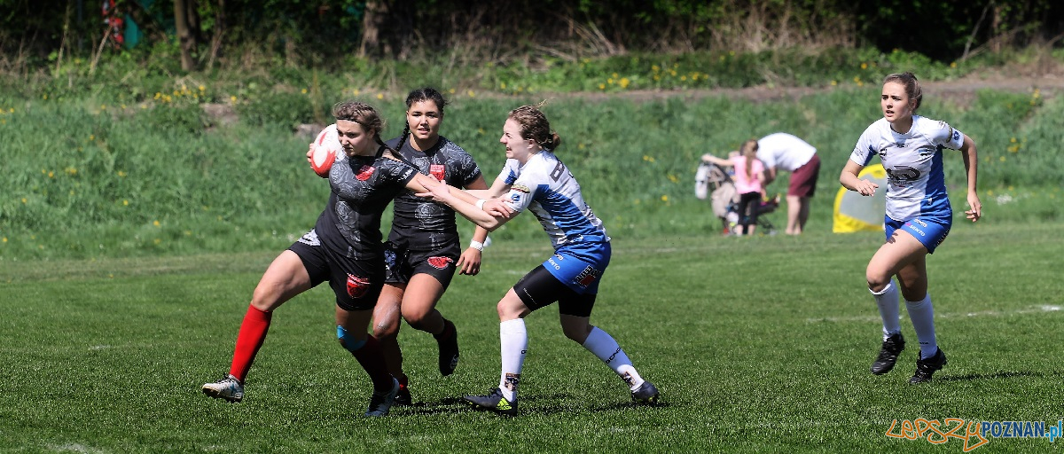 Black Roses Posnania Foto: materiały prasowe Black Roses Posnania Foto: materiały prasowe