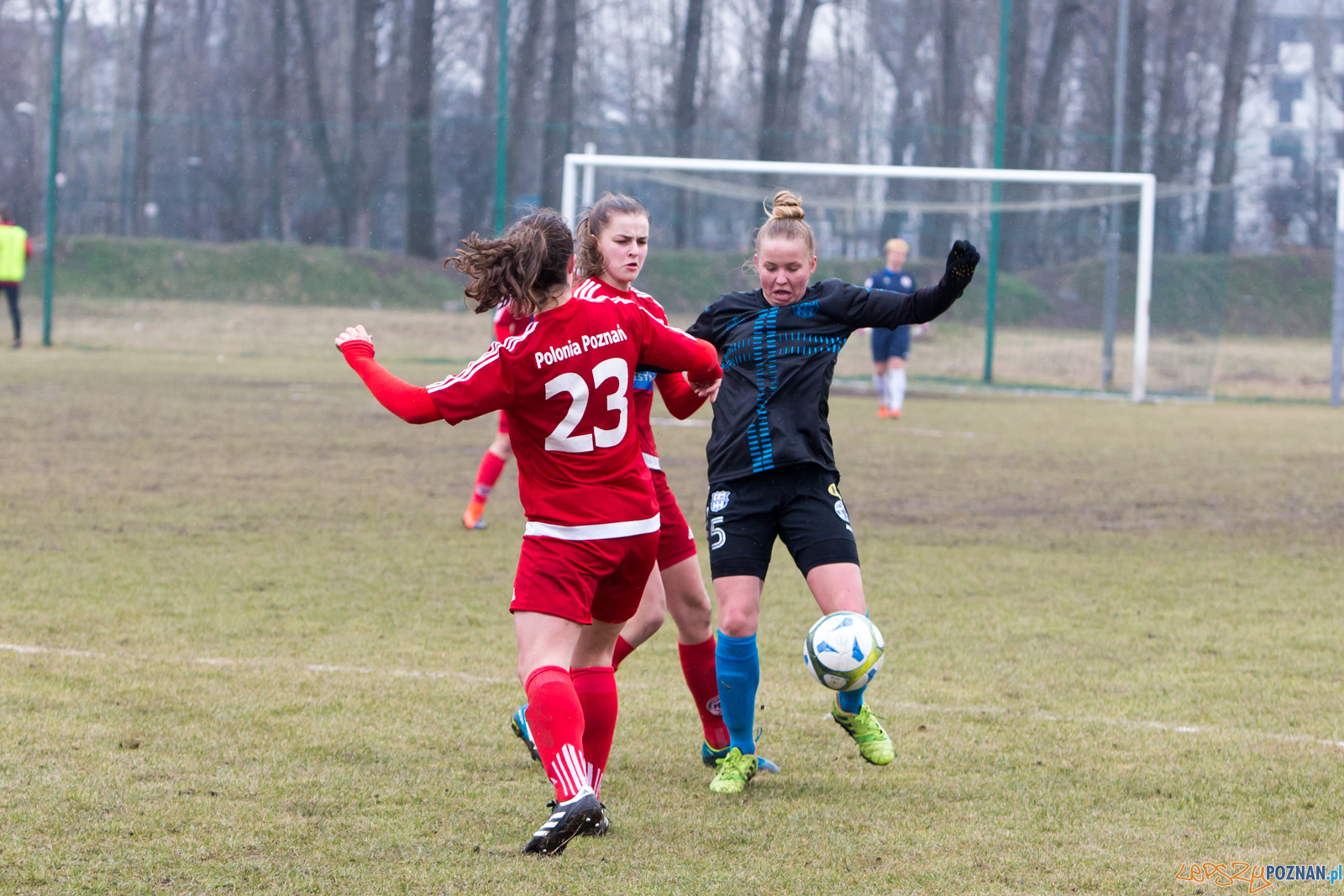 TS Polonia Poznań – KKP Bydgoszcz Foto: lepszyPOZNAN.pl/Piotr Rychter TS Polonia Poznań – KKP Bydgoszcz Foto: lepszyPOZNAN.pl/Piotr Rychter