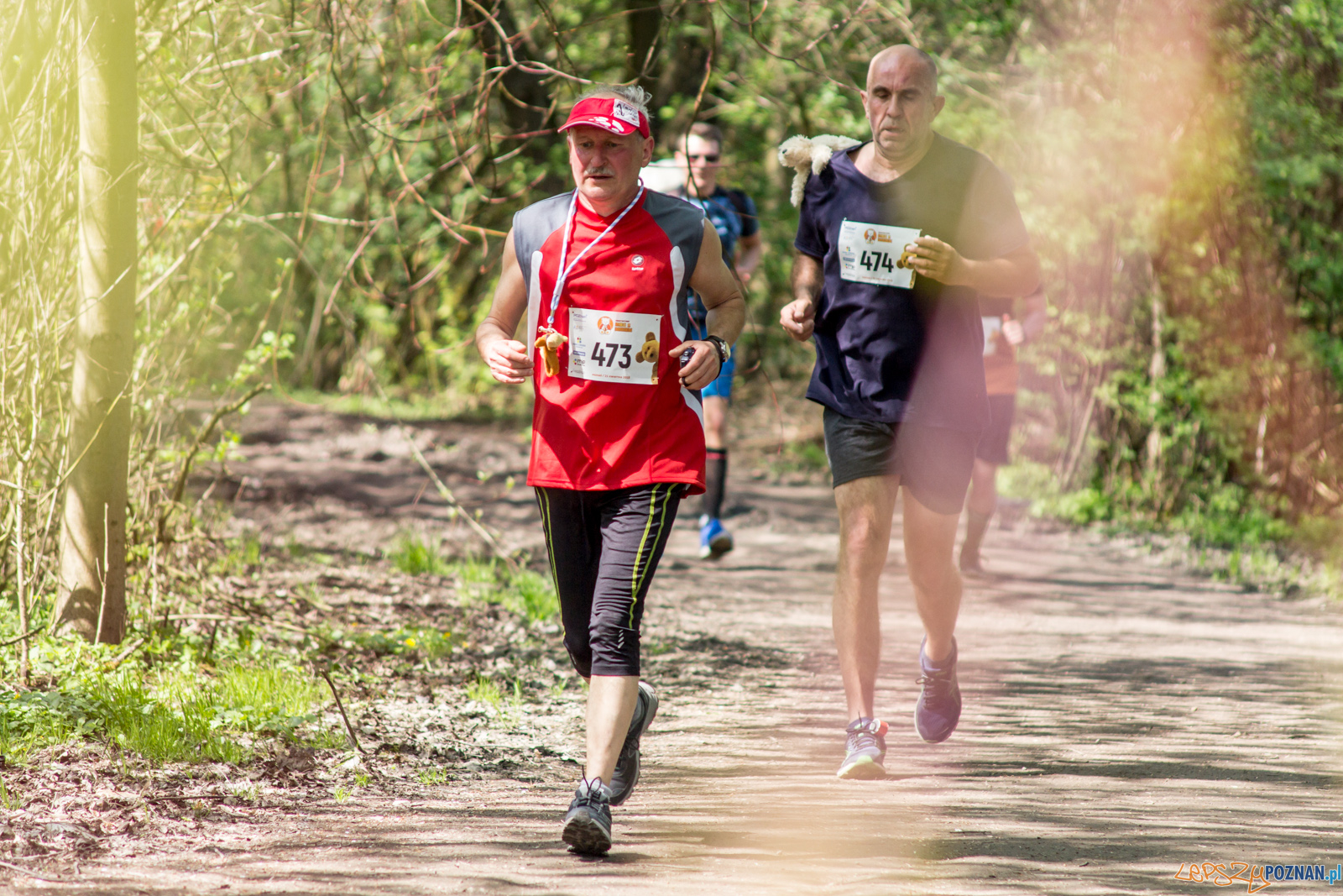 Bieg z Misiem Foto: lepszyPOZNAN.pl / Ewelina Jaśkowiak Bieg z Misiem Foto: lepszyPOZNAN.pl / Ewelina Jaśkowiak
