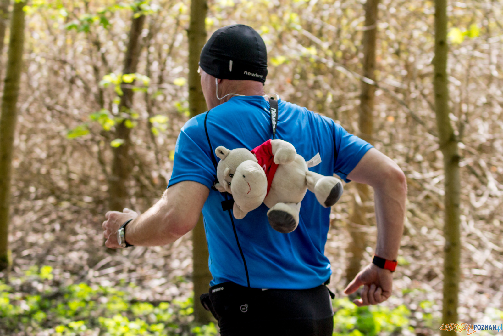 Bieg z Misiem Foto: lepszyPOZNAN.pl / Ewelina Jaśkowiak Bieg z Misiem Foto: lepszyPOZNAN.pl / Ewelina Jaśkowiak