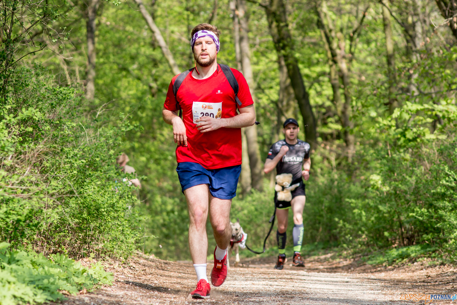 Bieg z Misiem Foto: lepszyPOZNAN.pl / Ewelina Jaśkowiak Bieg z Misiem Foto: lepszyPOZNAN.pl / Ewelina Jaśkowiak