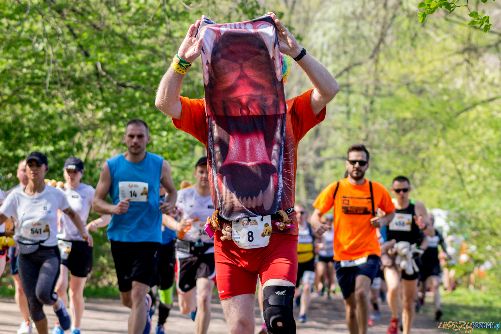 Bieg z Misiem Foto: lepszyPOZNAN.pl / Ewelina Jaśkowiak Bieg z Misiem Foto: lepszyPOZNAN.pl / Ewelina Jaśkowiak