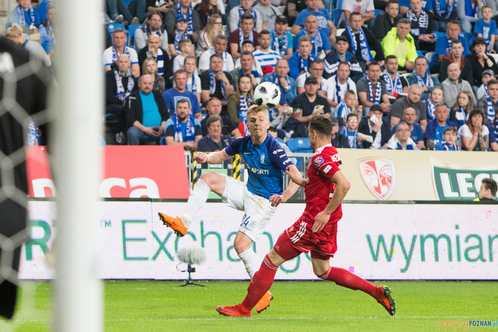 Lech Poznań - Górnik Zabrze Foto: lepszyPOZNAN.pl/Piotr Rychter Lech Poznań - Górnik Zabrze Foto: lepszyPOZNAN.pl/Piotr Rychter