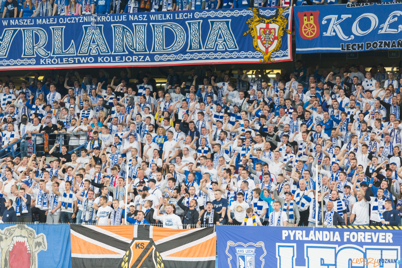 Lech Poznań - Korona Kielce (najlepsi kibice na świecie) Foto: lepszyPOZNAN.pl/Piotr Rychter Lech Poznań - Korona Kielce (najlepsi kibice na świecie) Foto: lepszyPOZNAN.pl/Piotr Rychter