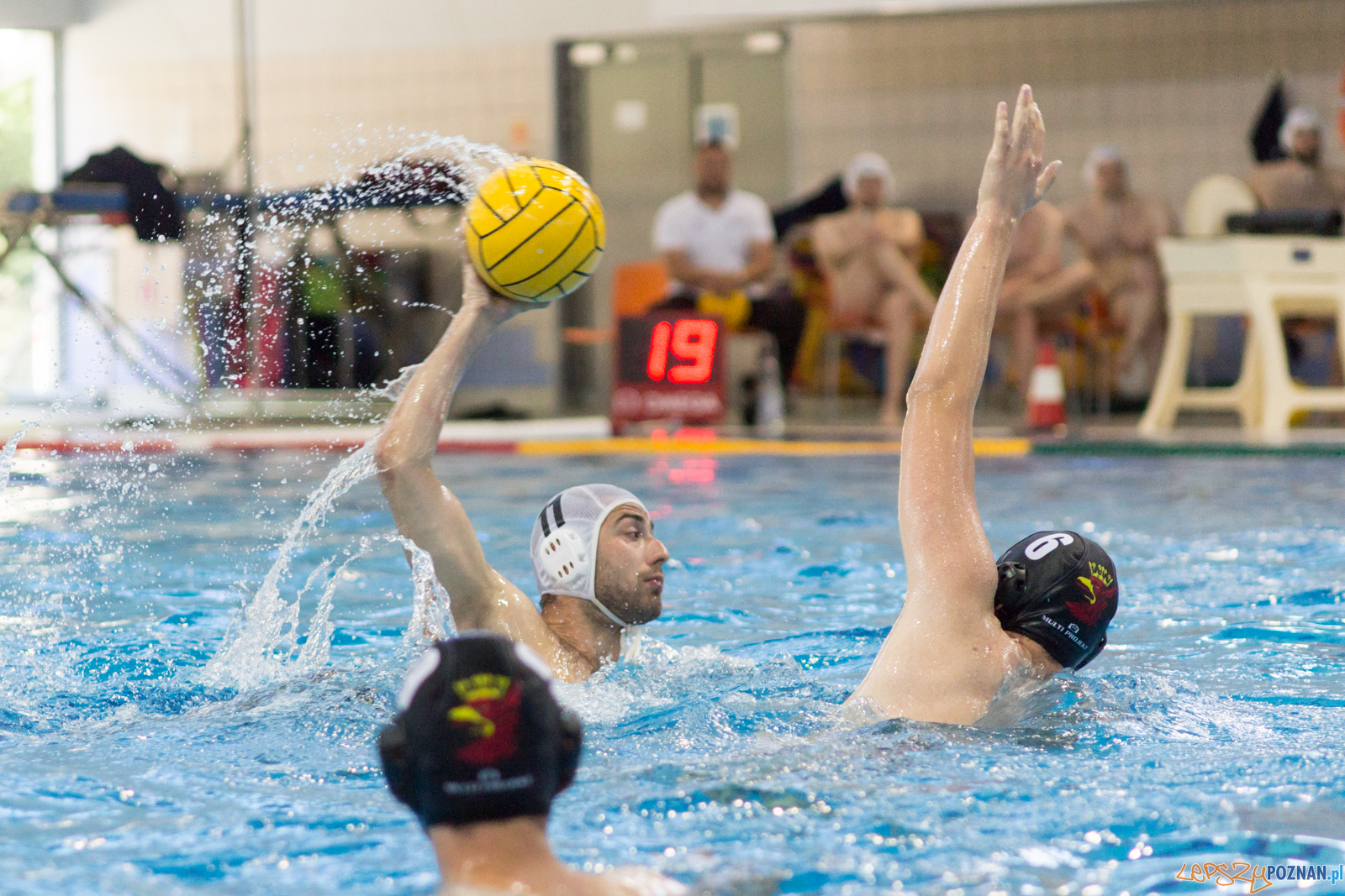 KS Waterpolo Poznań - Arkonia Szczecin Foto: lepszyPOZNAN.pl / Ewelina Jaśkowiak KS Waterpolo Poznań - Arkonia Szczecin Foto: lepszyPOZNAN.pl / Ewelina Jaśkowiak