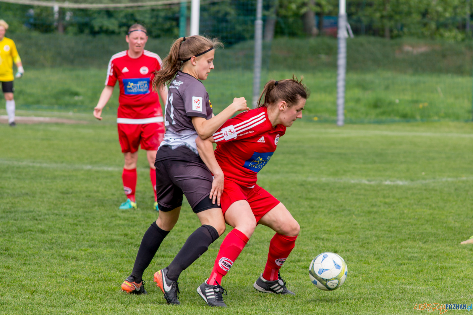 TS Polonia Poznań vs MUKS "Dargfil" Tomaszów Mazowiecki Foto: lepszyPOZNAN.pl / Ewelina Jaśkowiak TS Polonia Poznań vs MUKS "Dargfil" Tomaszów Mazowiecki Foto: lepszyPOZNAN.pl / Ewelina Jaśkowiak