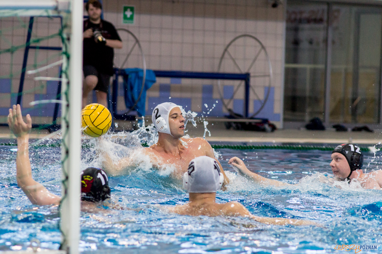 KS Waterpolo Poznań - Arkonia Szczecin Foto: lepszyPOZNAN.pl / Ewelina Jaśkowiak KS Waterpolo Poznań - Arkonia Szczecin Foto: lepszyPOZNAN.pl / Ewelina Jaśkowiak
